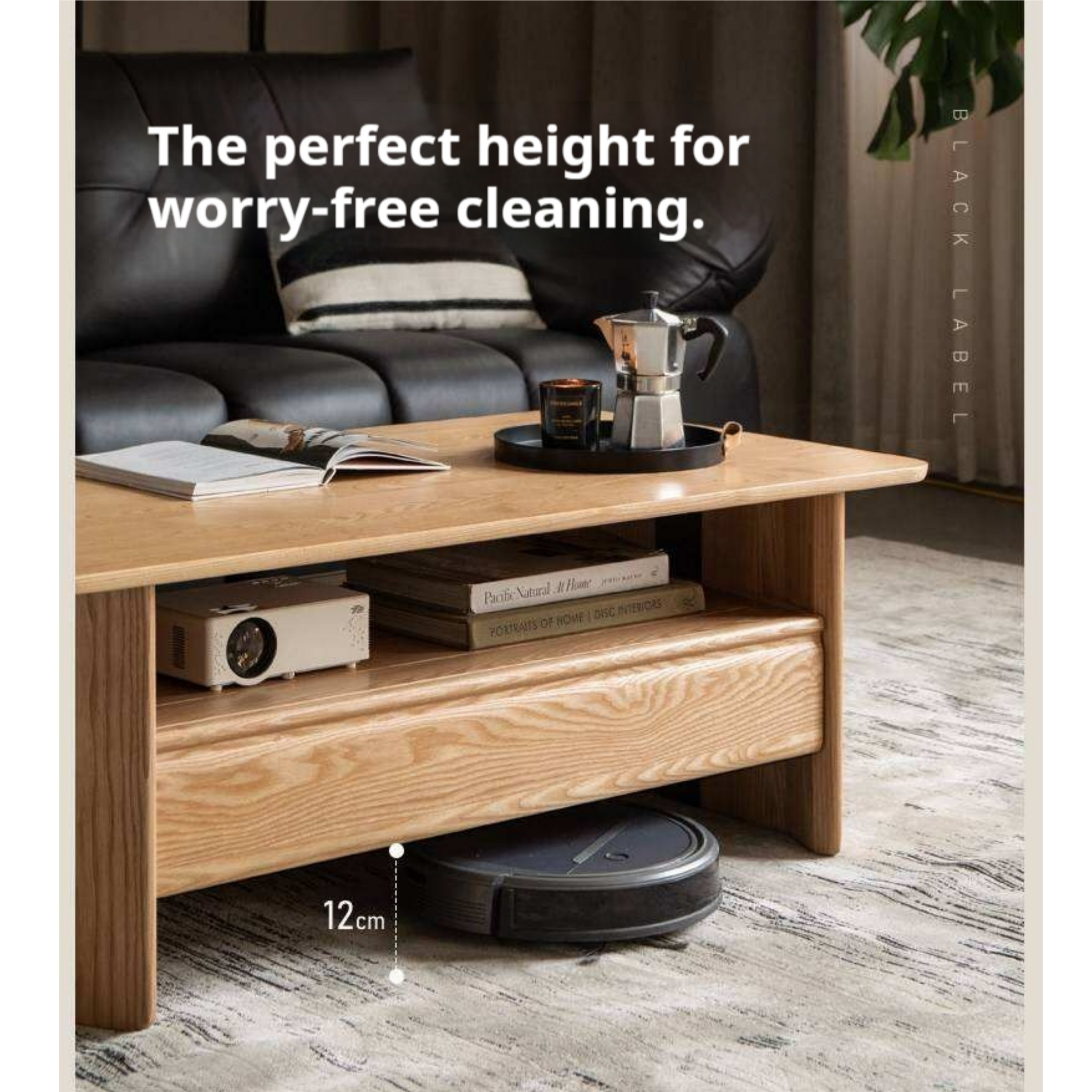 Ash Solid Wood Coffee Table with Two-Level Storage and Minimalist Design