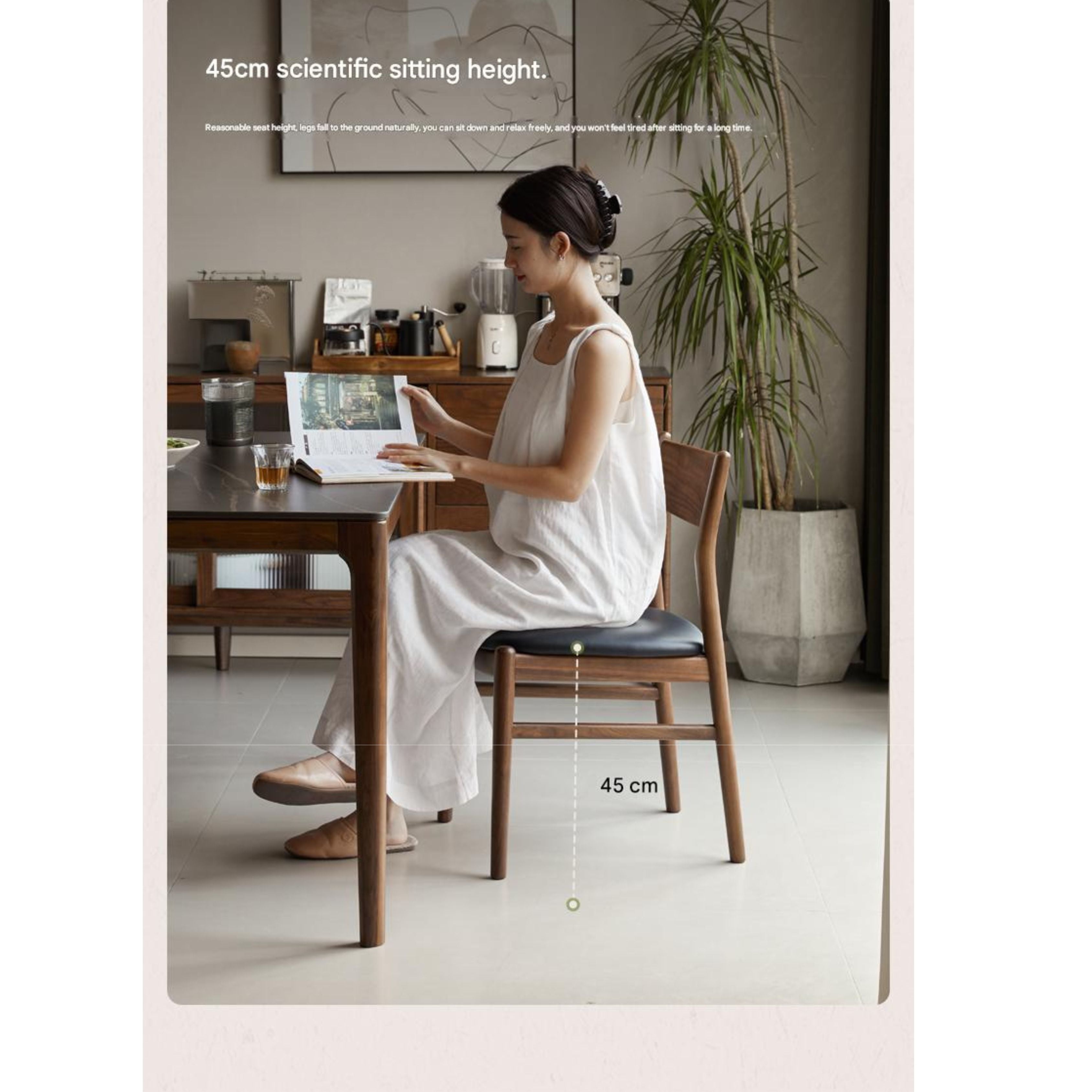 4 pcs Black Walnut, Ash, Oak, White Oak, Beech, Sandalwood Solid Wood Dining Chair Retro