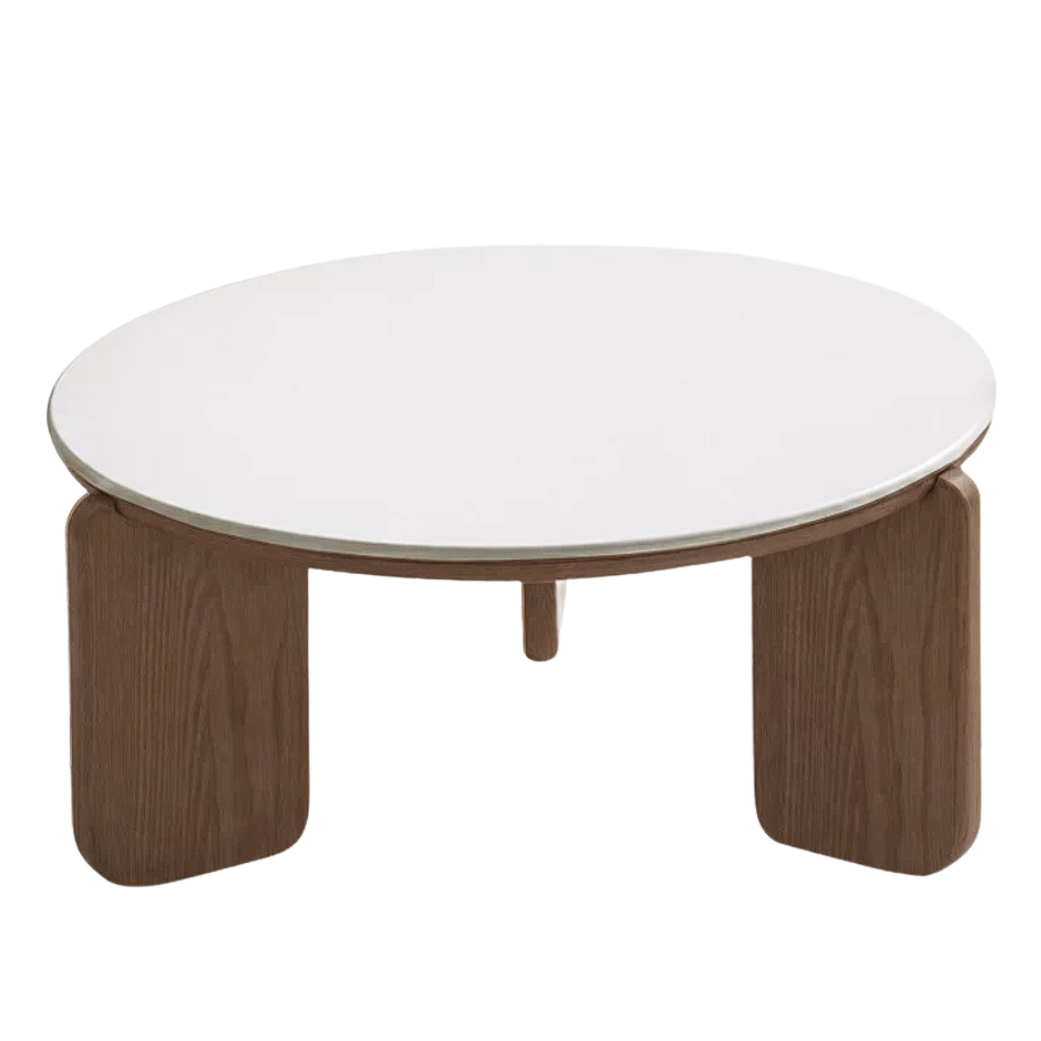 Oak, Ash, White Ash, Tulipwood Solid Wood Slate Coffee Table