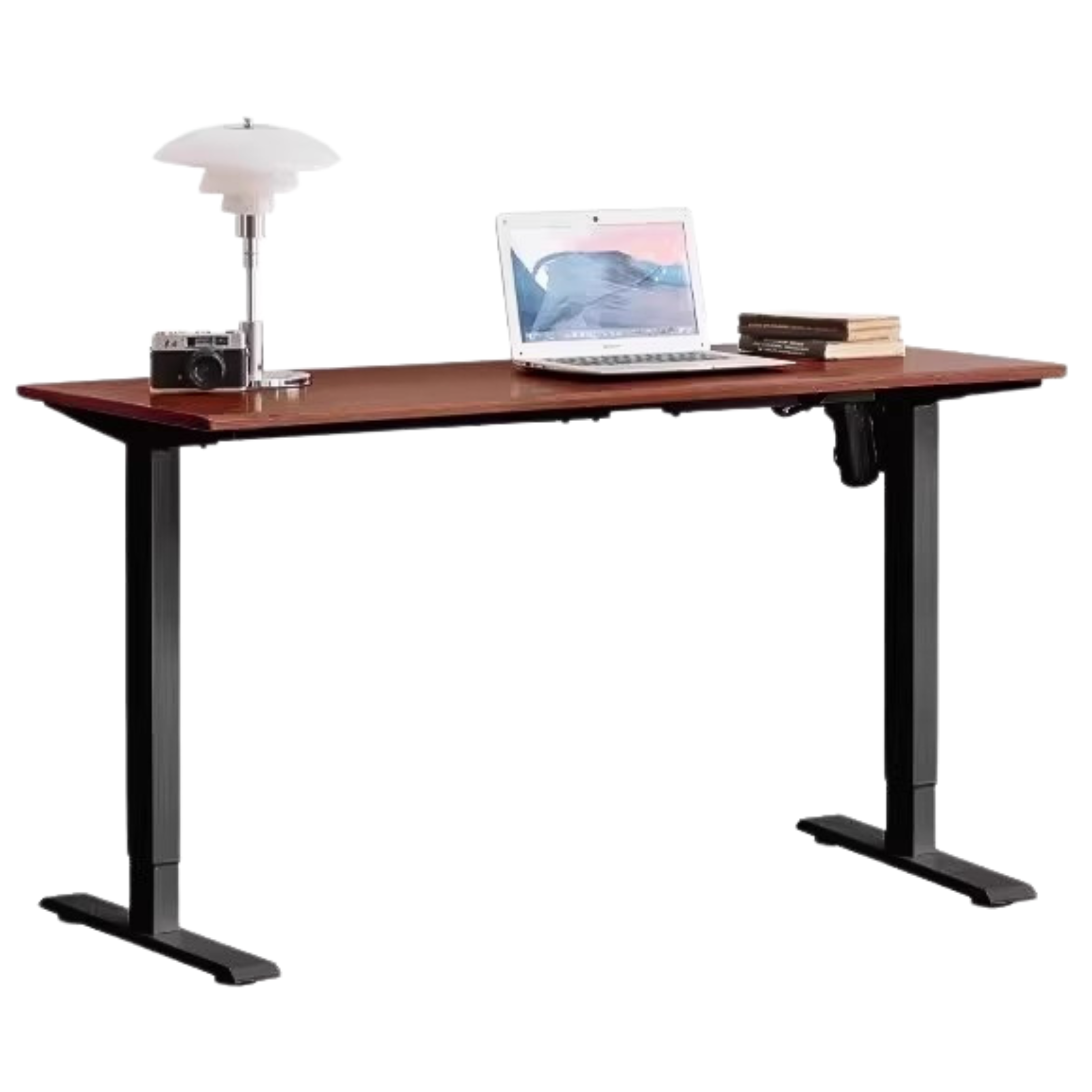 Black Walnut, Oak Solid Wood Standing Desk, Sit-Stand Electric Lift Table