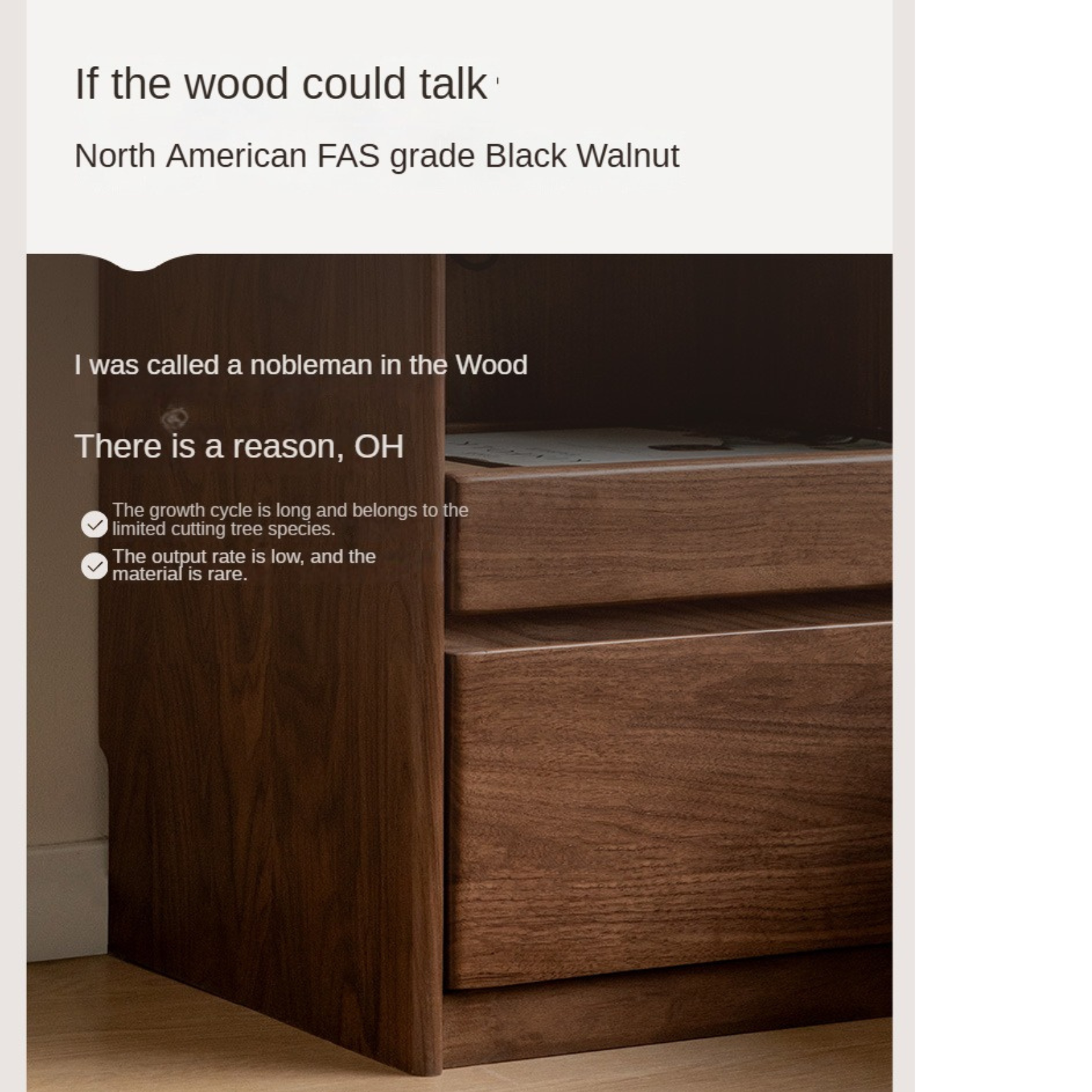 Black Walnut, Oak, Sandalwood Solid Wood Nightstand Socket, Lamp