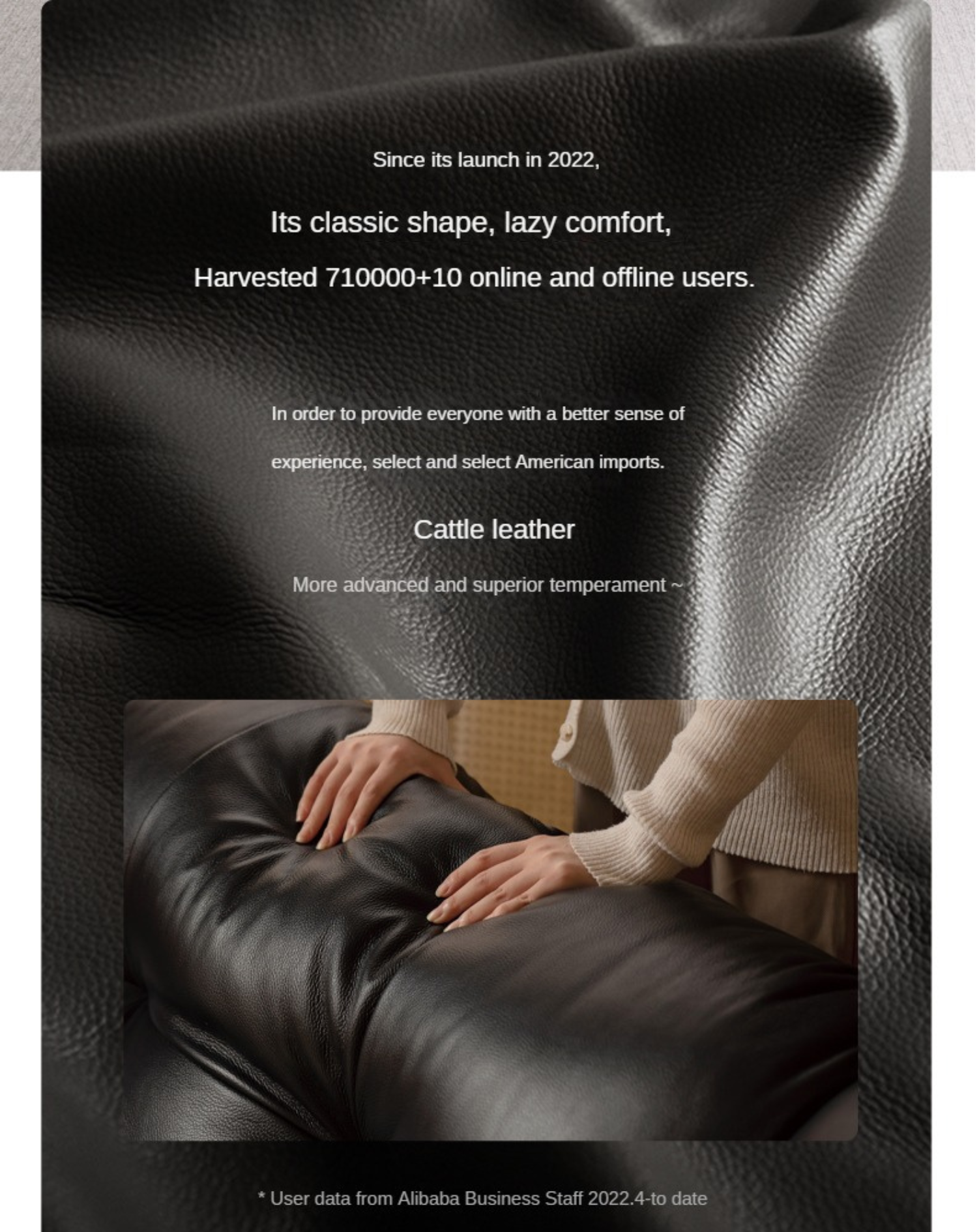 Leather Sofa First Layer Cowhide Black Sofa.