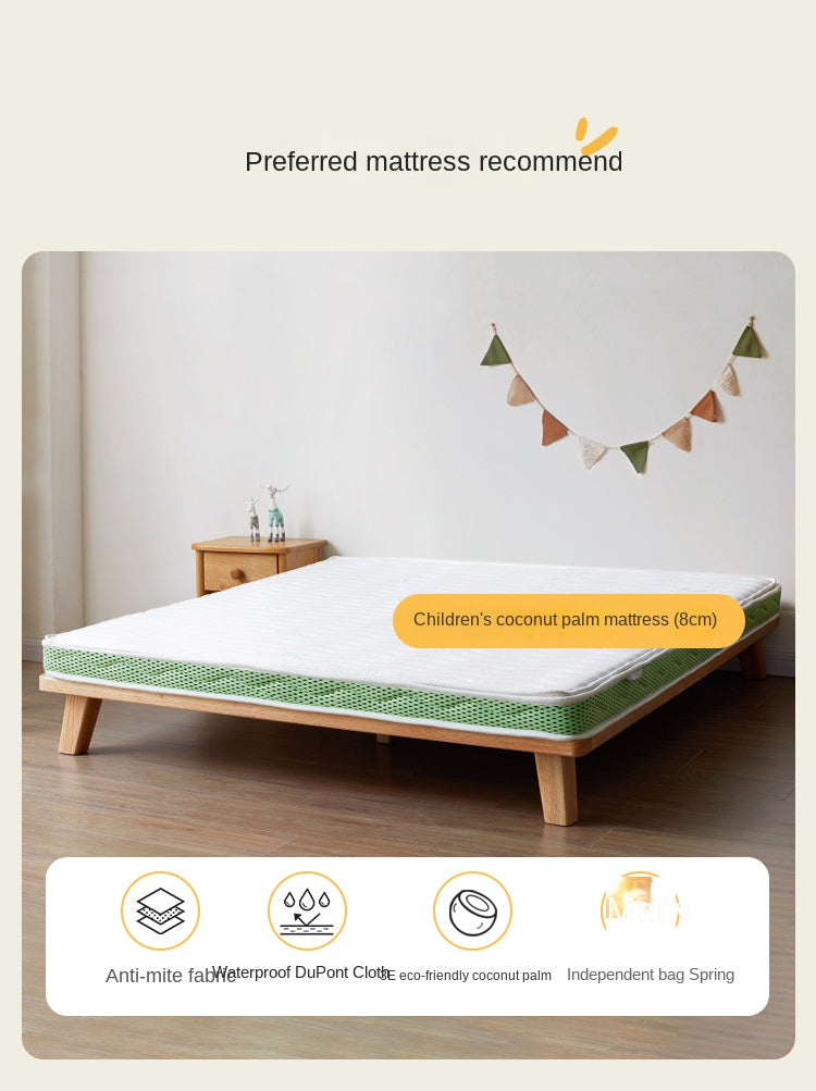European Beech Solid Wood Modern Children's Bed