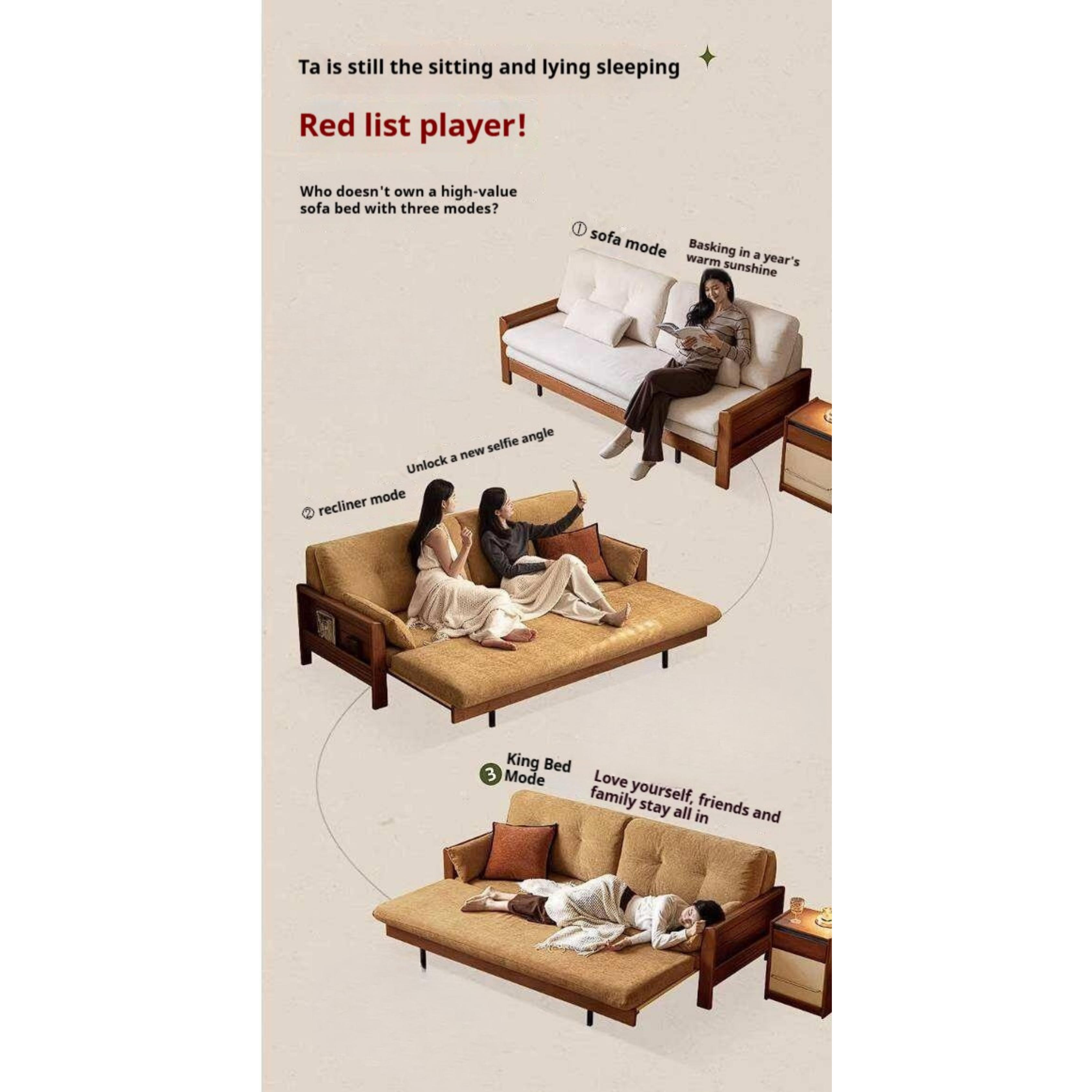 Solid Wood Vintage-Inspired Sofa Bed with Spacious Lounge Design