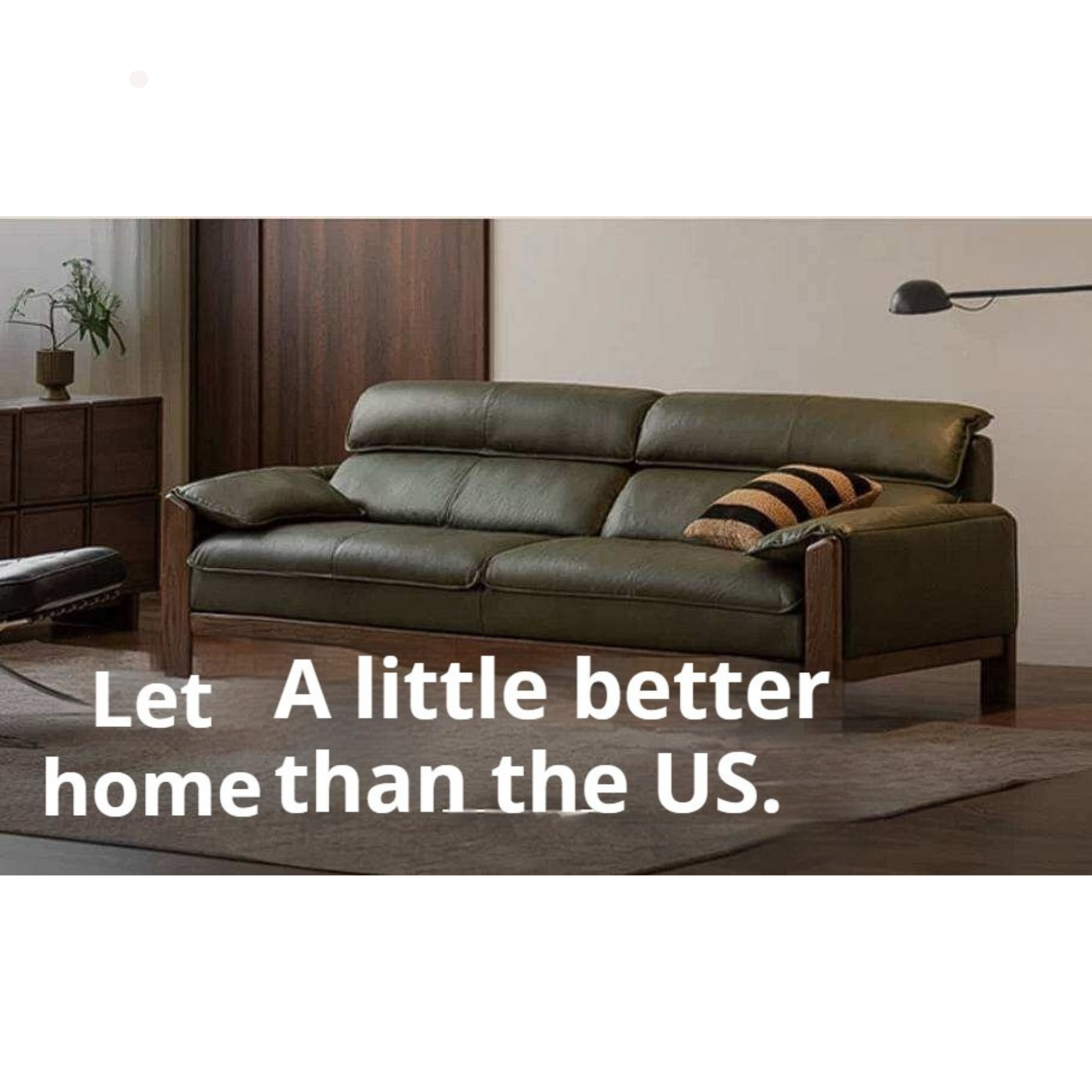 Oak Solid Wood, Sandalwood Sofa with Italian Light Luxury Leather Design