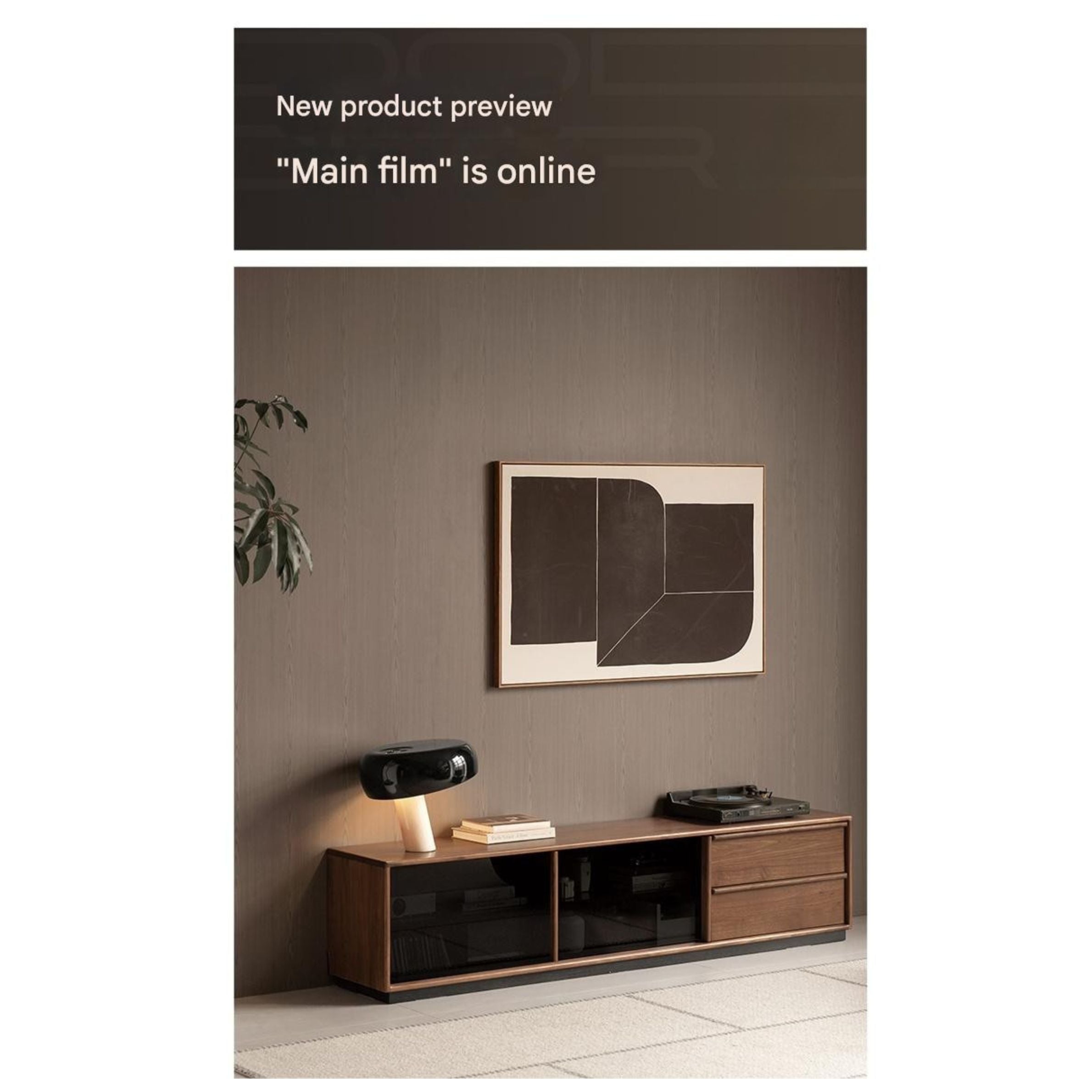 Black Walnut, Oak Solid Wood Italian Light Luxury Floor TV Cabinet.