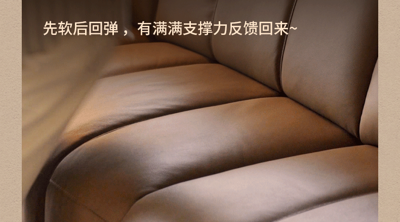 Electric Leather Zero Wall Function Sofa.