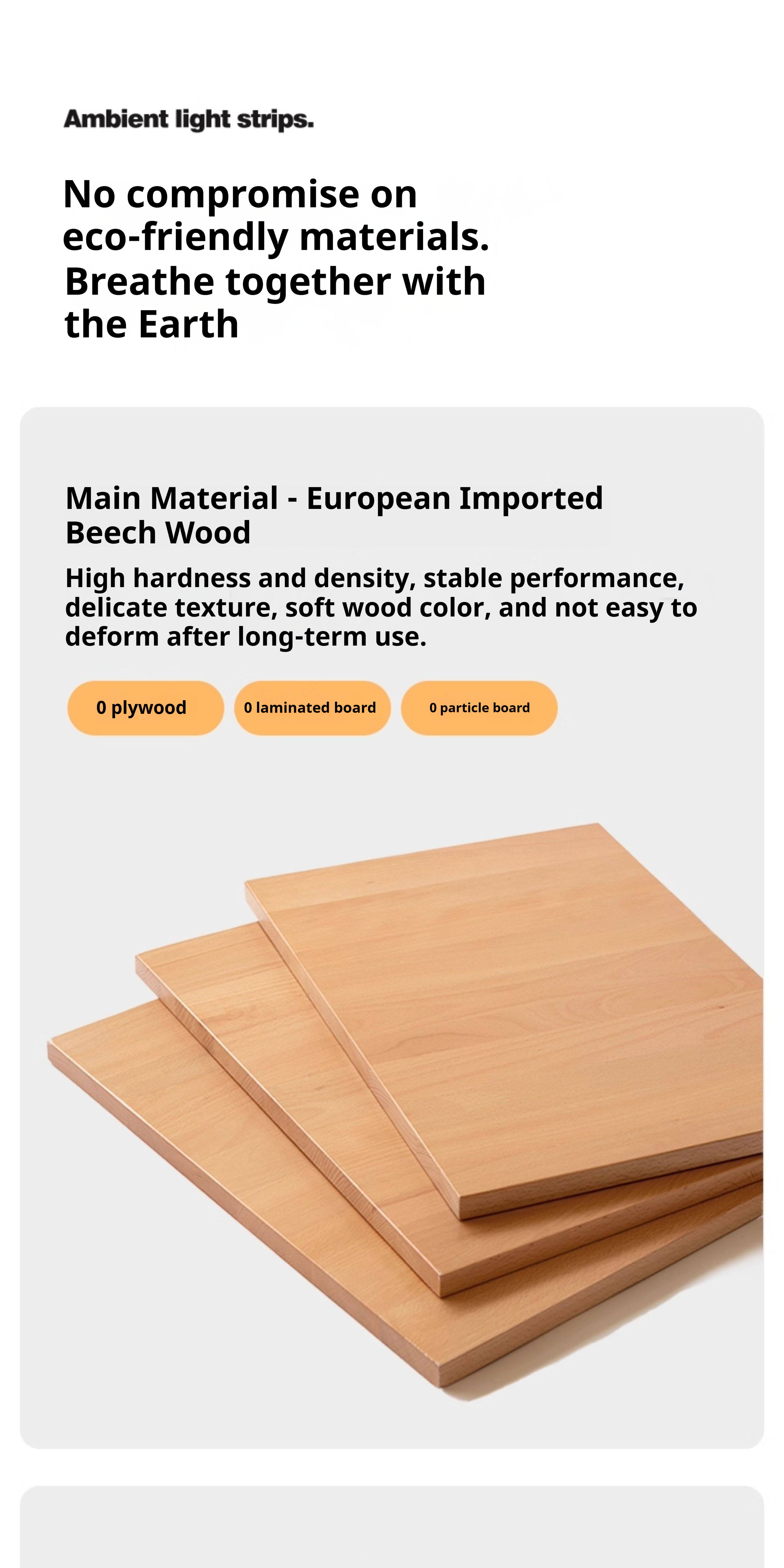 Beech Solid Wood Modern Shoe Cabinet