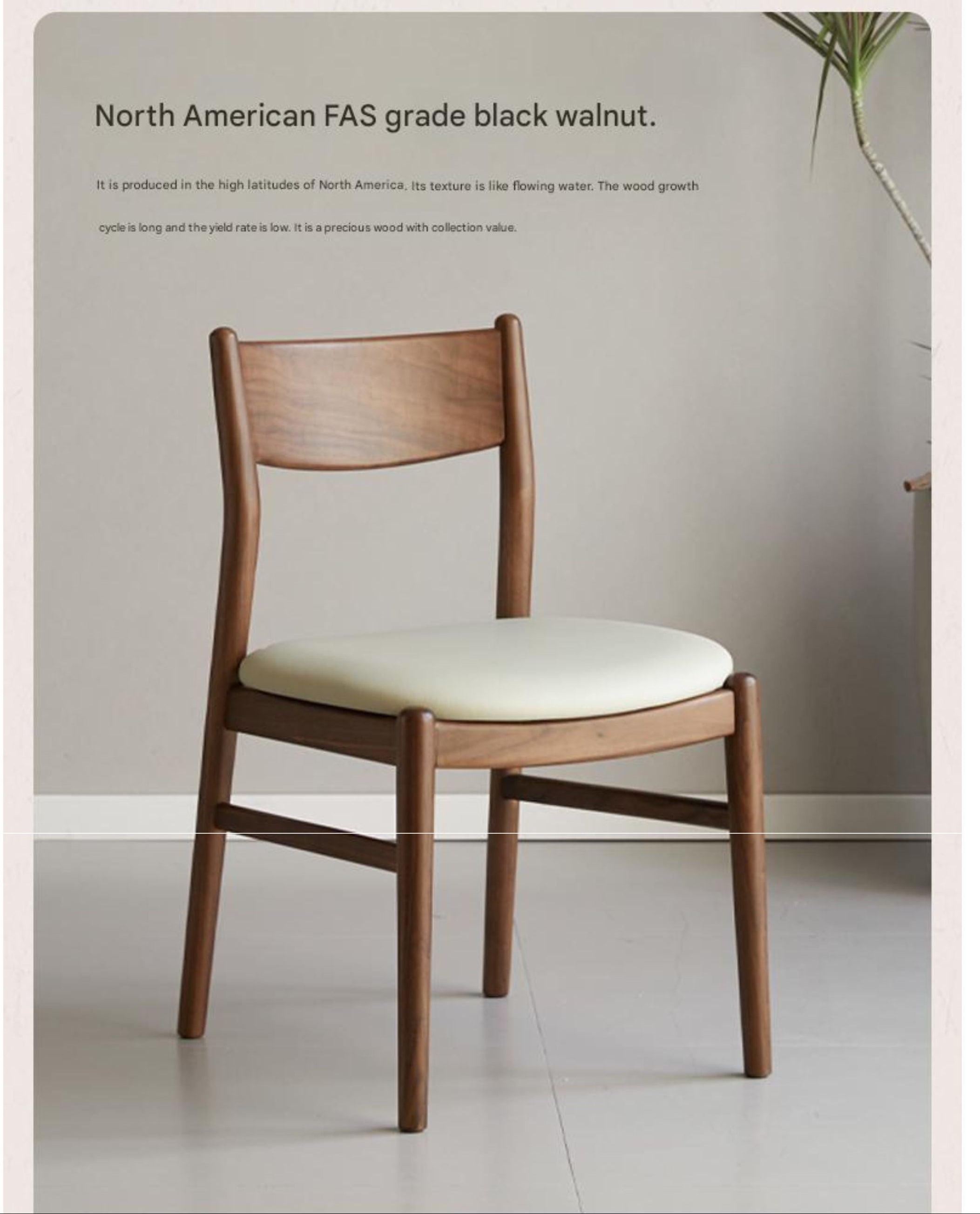 4 pcs Black Walnut, Ash, White Ash, Oak, White Oak, Beech, Sandalwood Solid Wood Dining Chair Retro