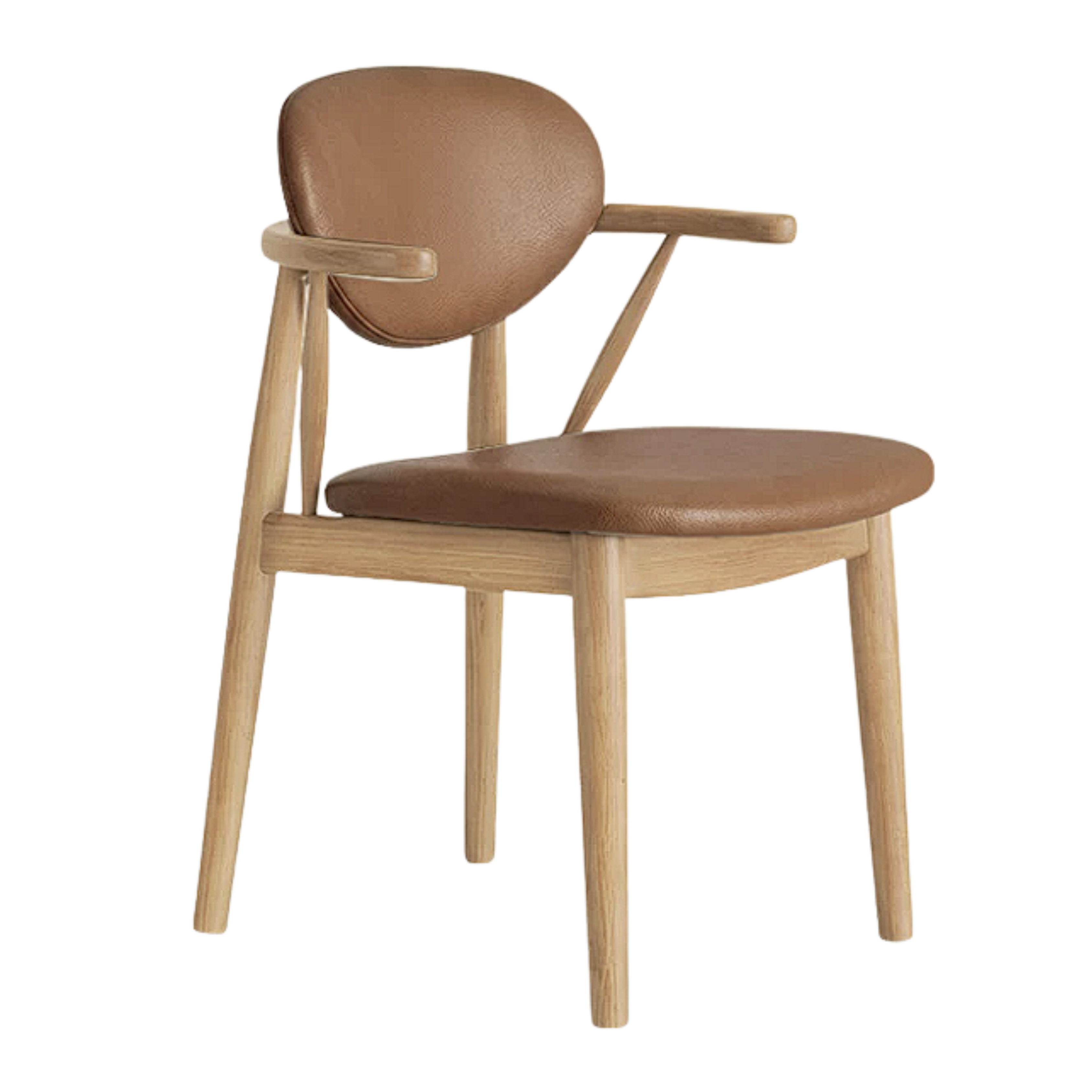 4 pcs Black Walnut, Oak, Sandalwood, Ash Curved Dining Chair with Open Armrest