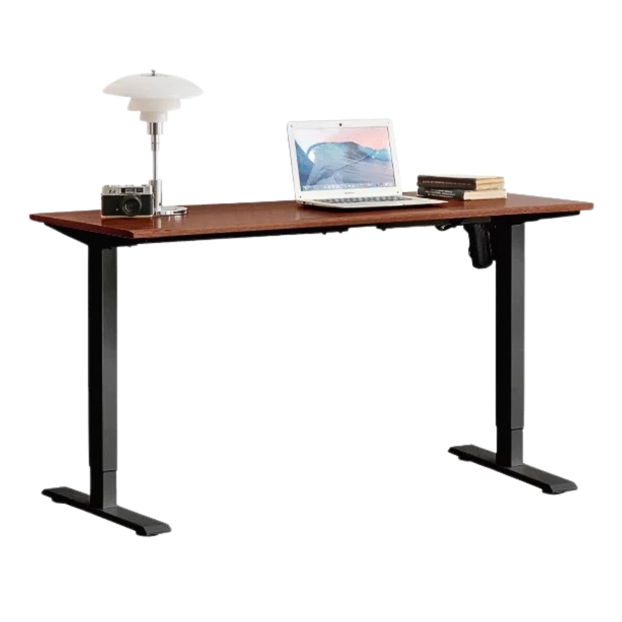Black Walnut, Oak Solid Wood Electric Elevating Desk
