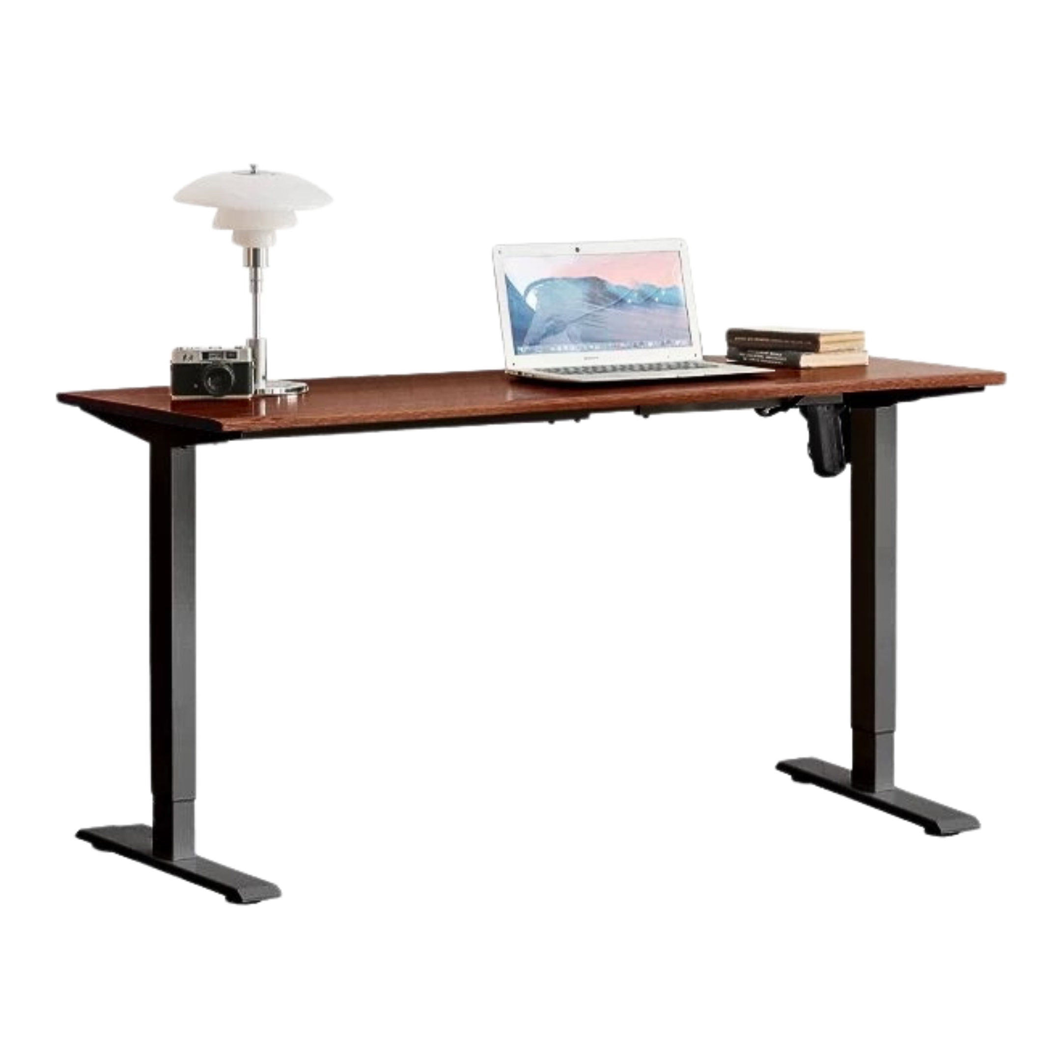 Black Walnut, Oak Solid Wood Electric Elevating Desk