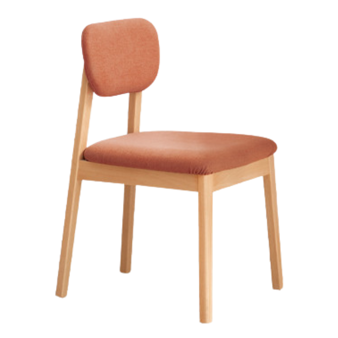 Beech Solid Wood Chair Modern 4 pcs