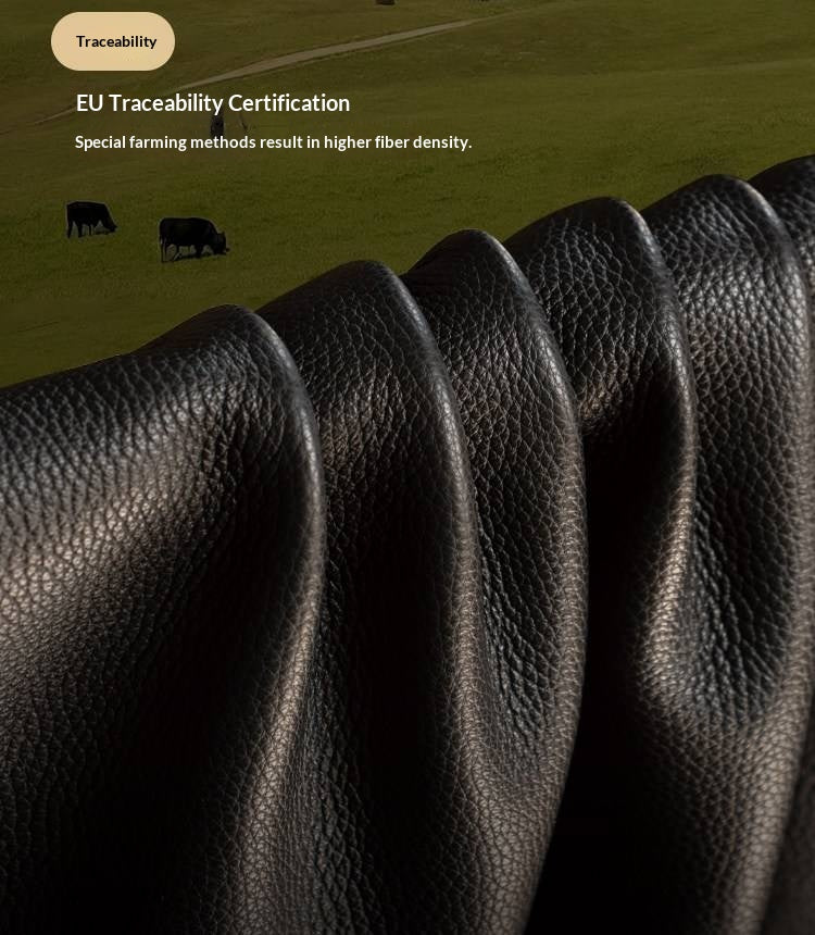 Full Grain Genuine Leather Sofa Contemporary Couch