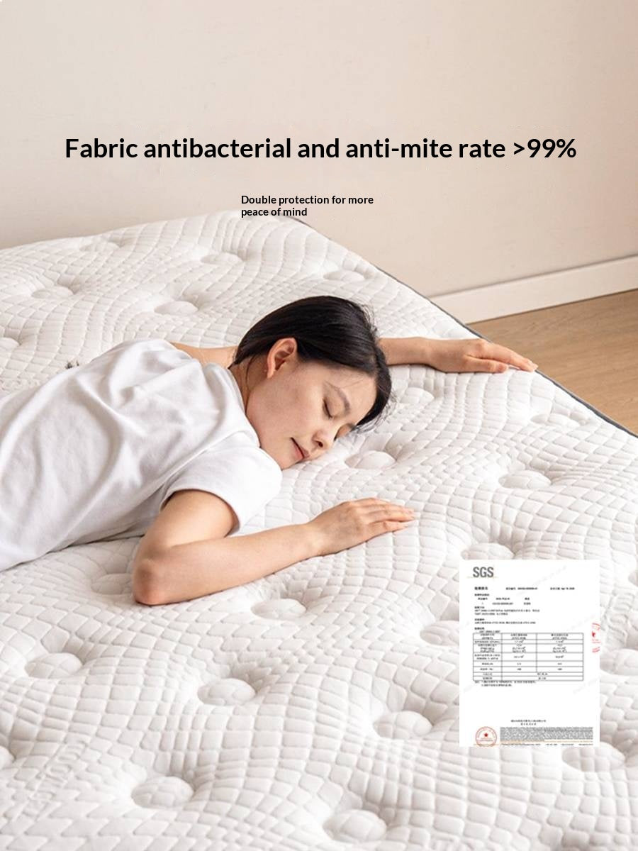 Natural Coconut Palm Hard Mattress with Latex and Simmons Spring