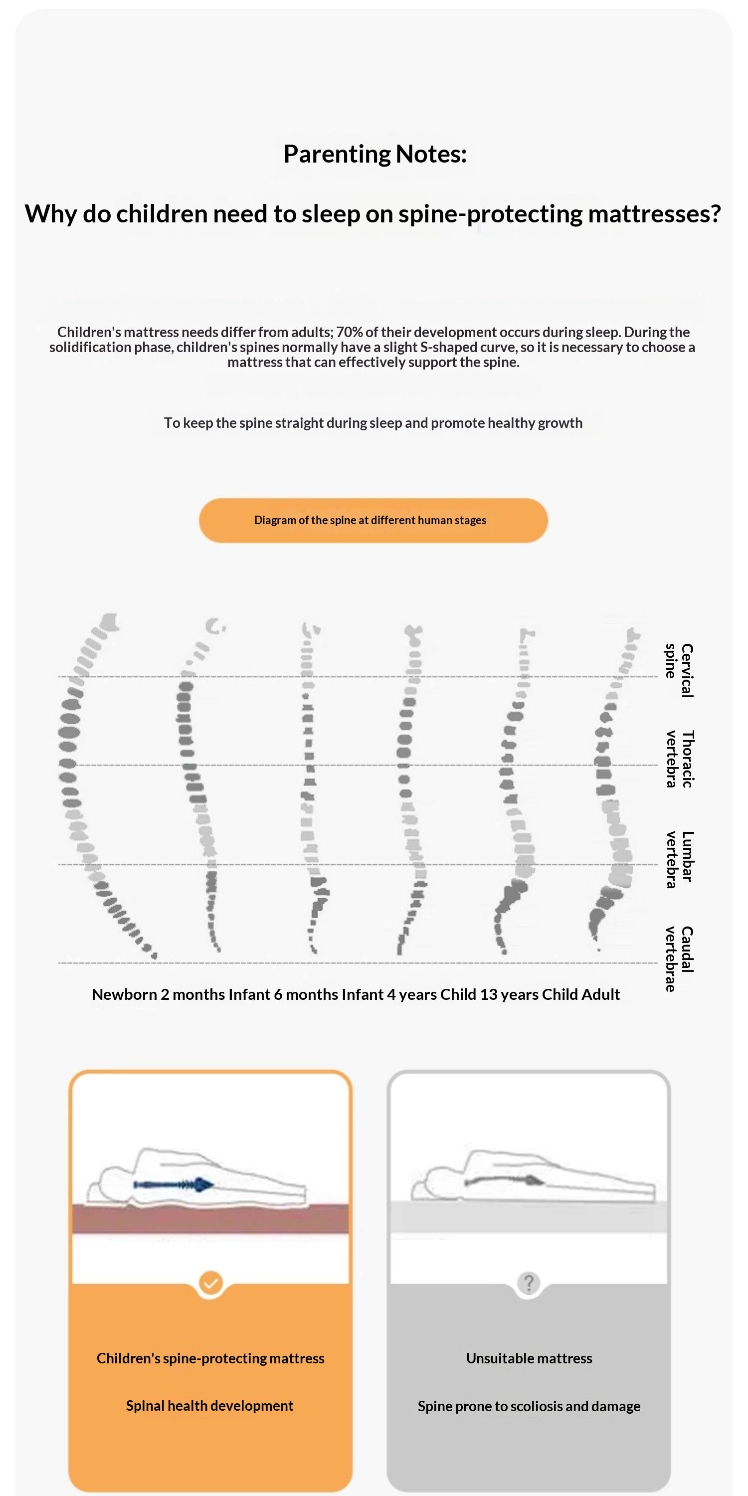 Children's Eco-Friendly Glue-Free Mattress — Panda Jute Spring, Coconut Fiber, Double Latex