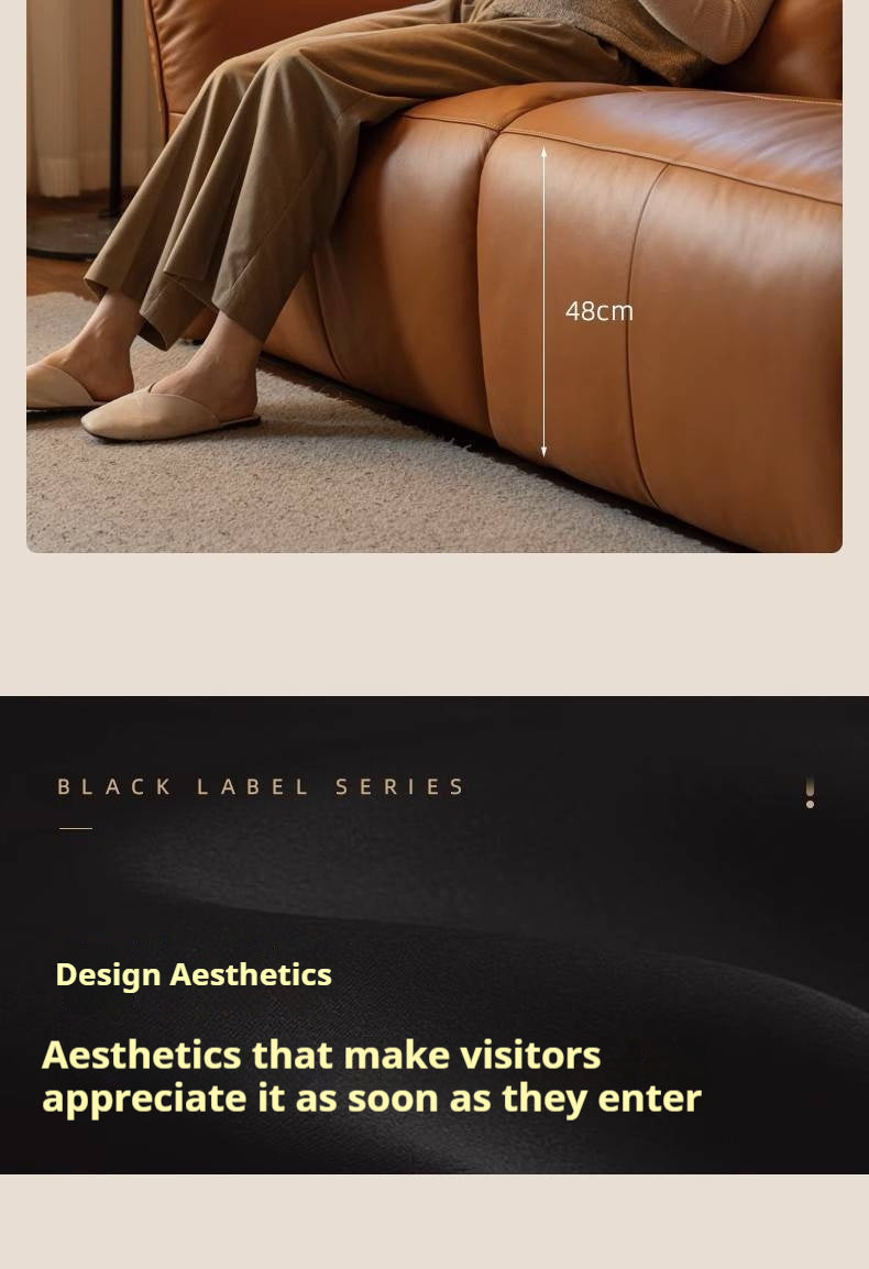 Leather Electric Luxury High Backrest Sofa,,,