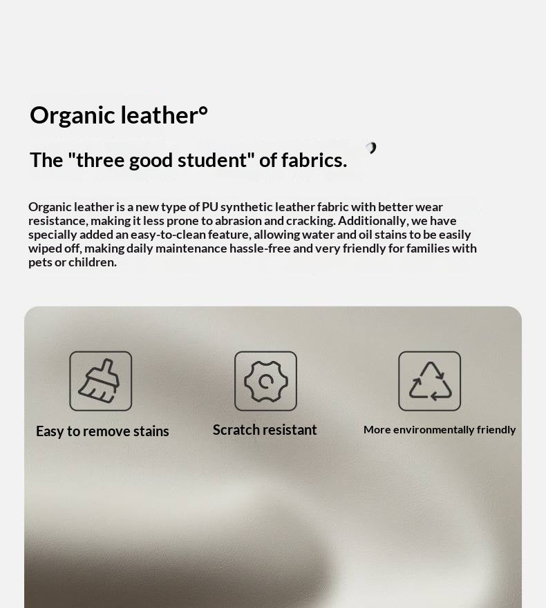 Beech Solid Wood Soft Chair Rotate 360