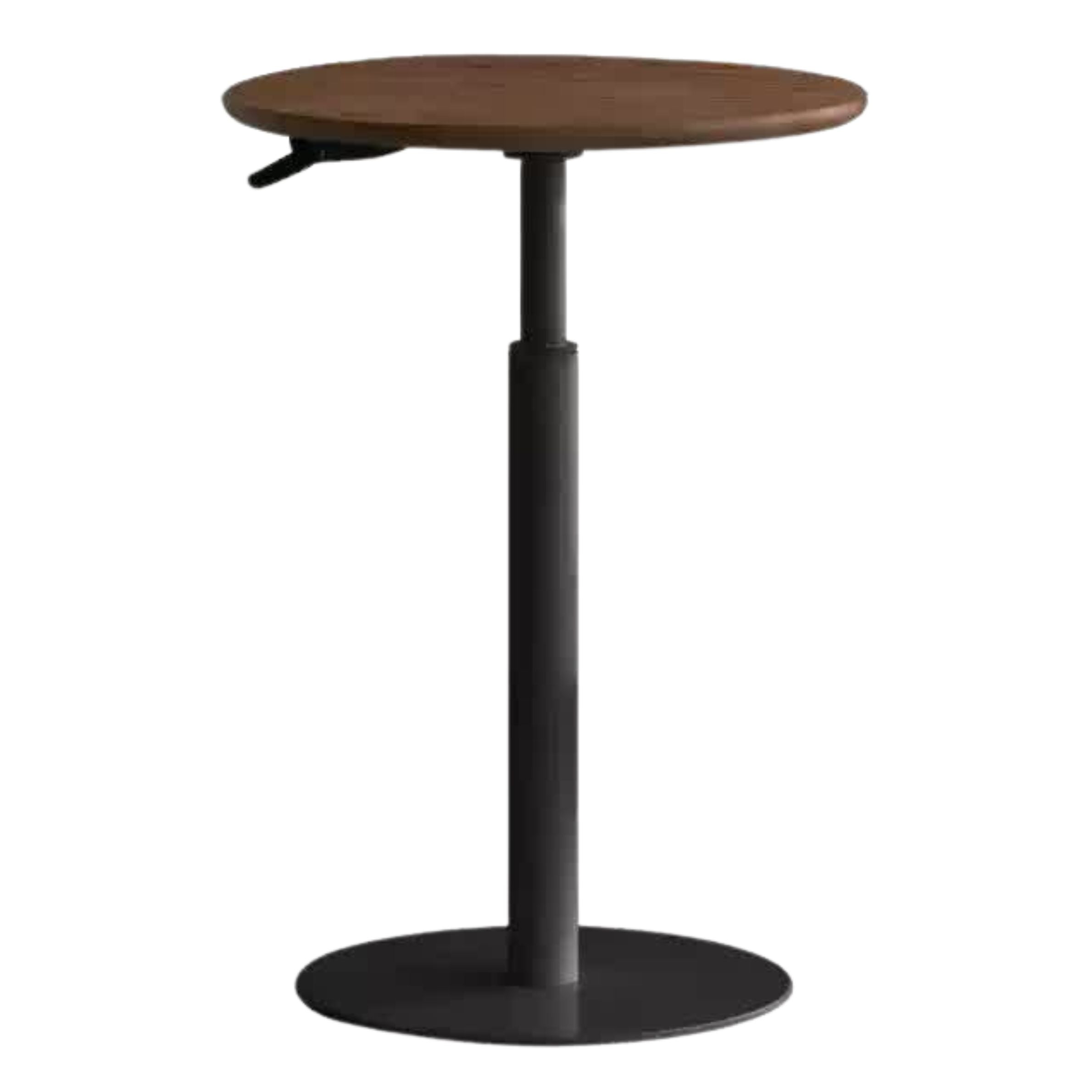 Oak, Black Walnut, Beech Solid Wood Lifting Side Table