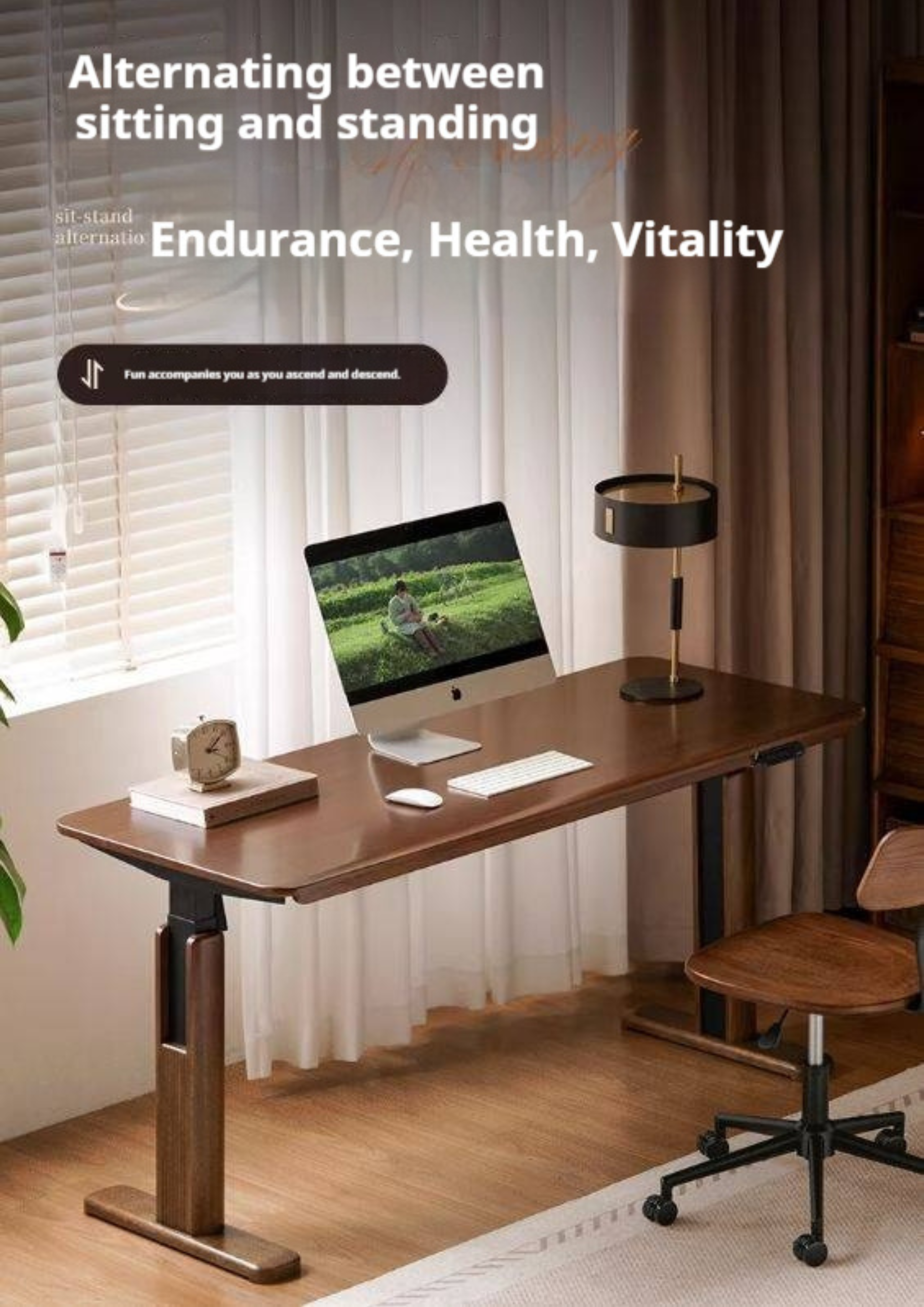 Solid Longan Hardwood Electric Lift Standing Desk with Adjustable Height