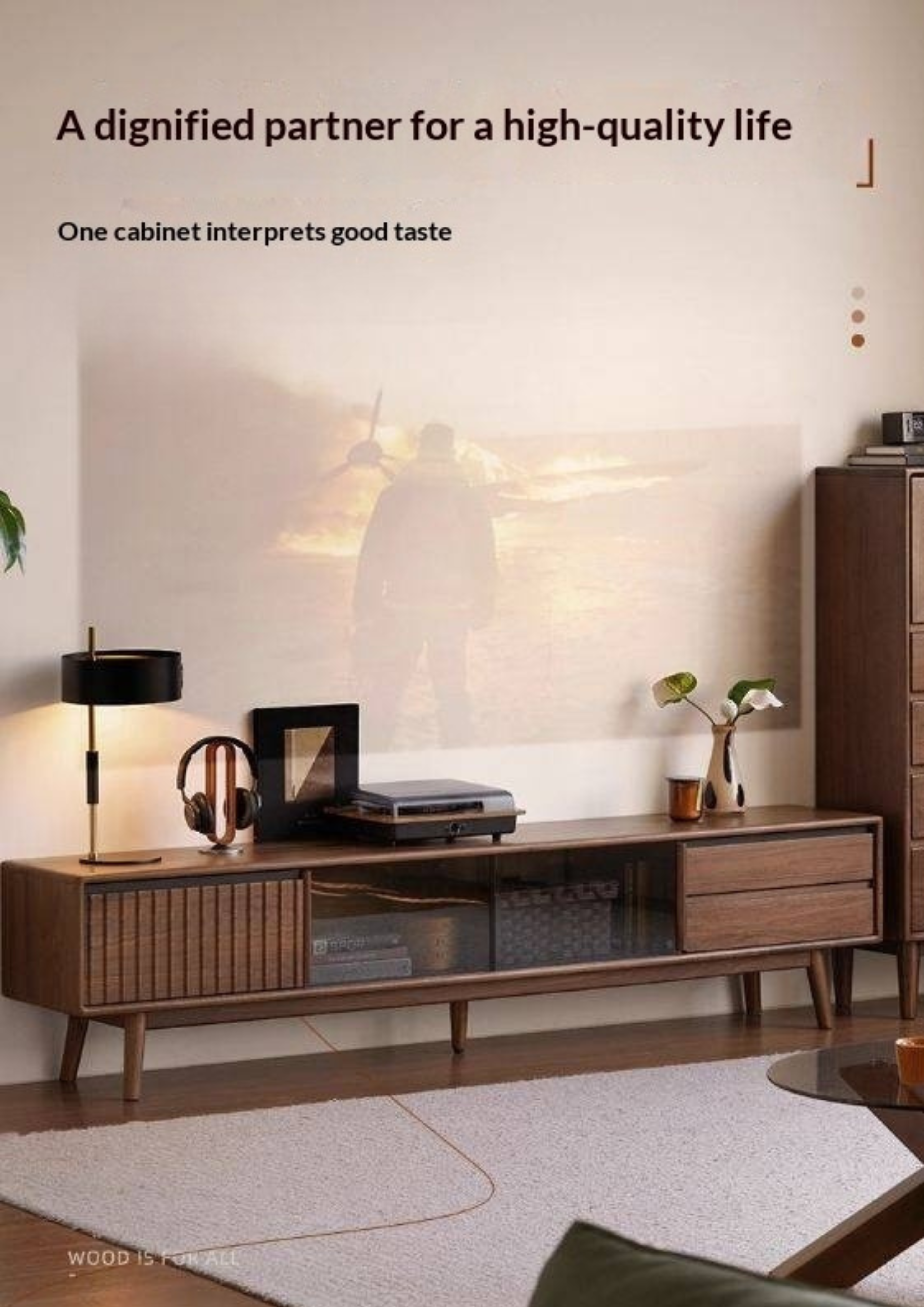 Black Walnut Solid Wood Italian Light Luxury Sliding Door TV Cabinet