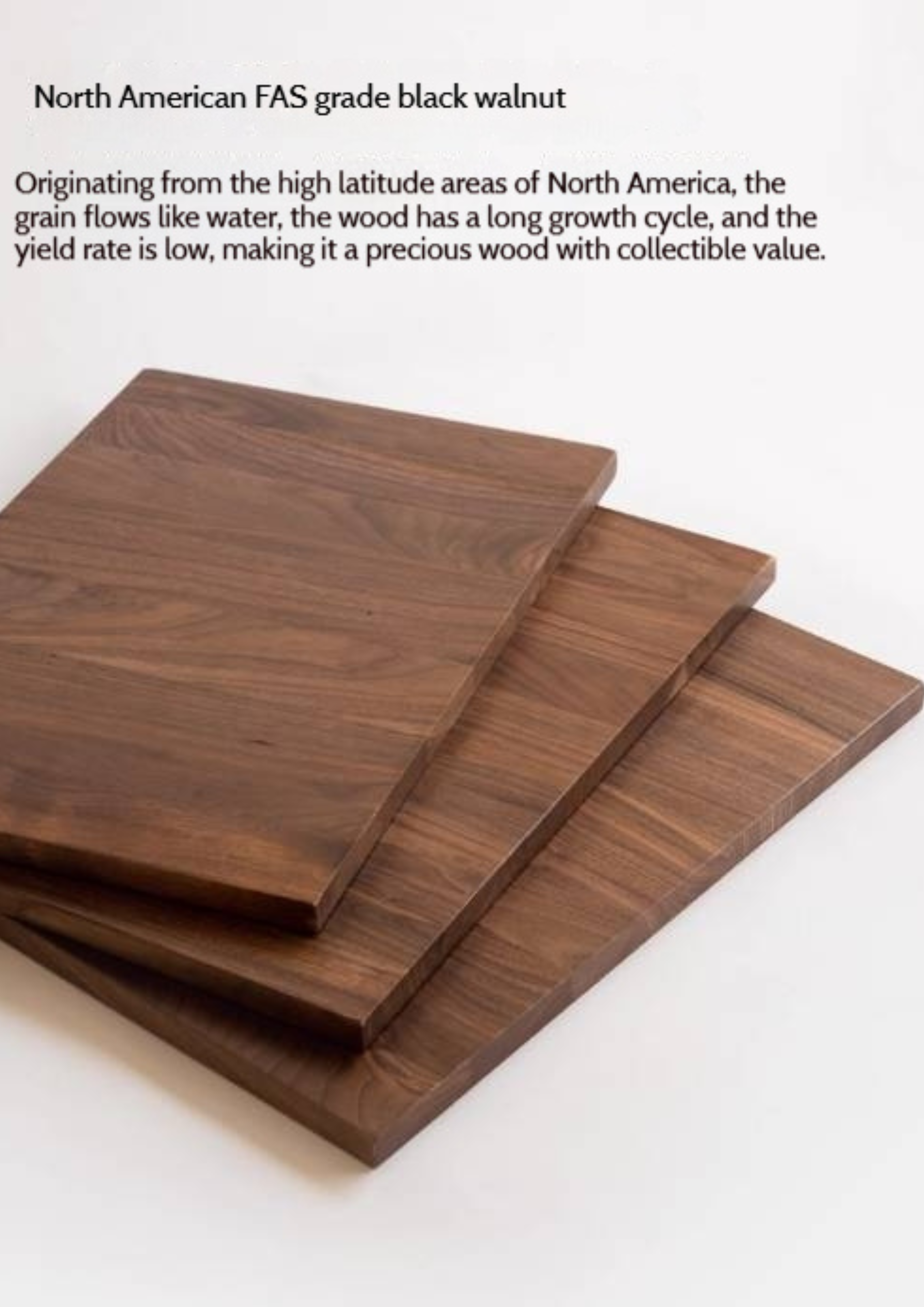 Black Walnut Solid Wood Light Luxury Dining Table