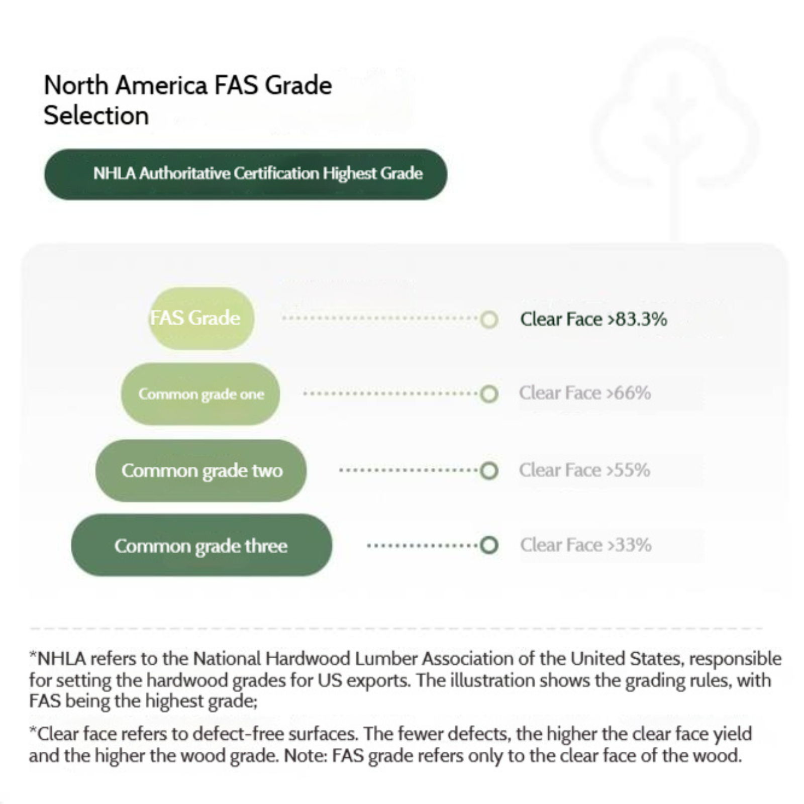 Oak, Solid Rubberwood Modern Shoe Cabinet