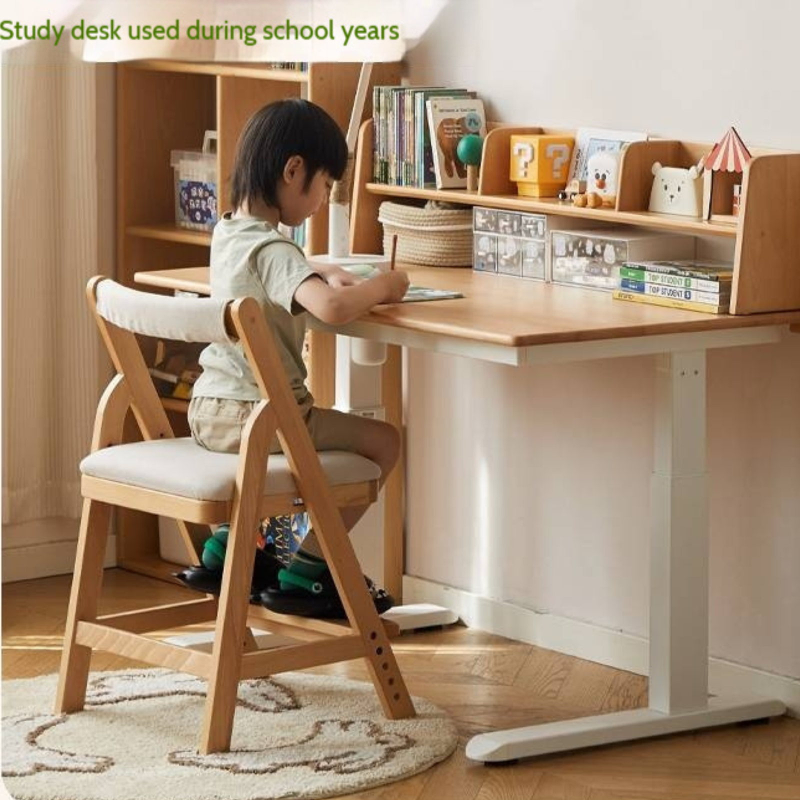 Beech Solid Wood Children's Electric Learning Desk
