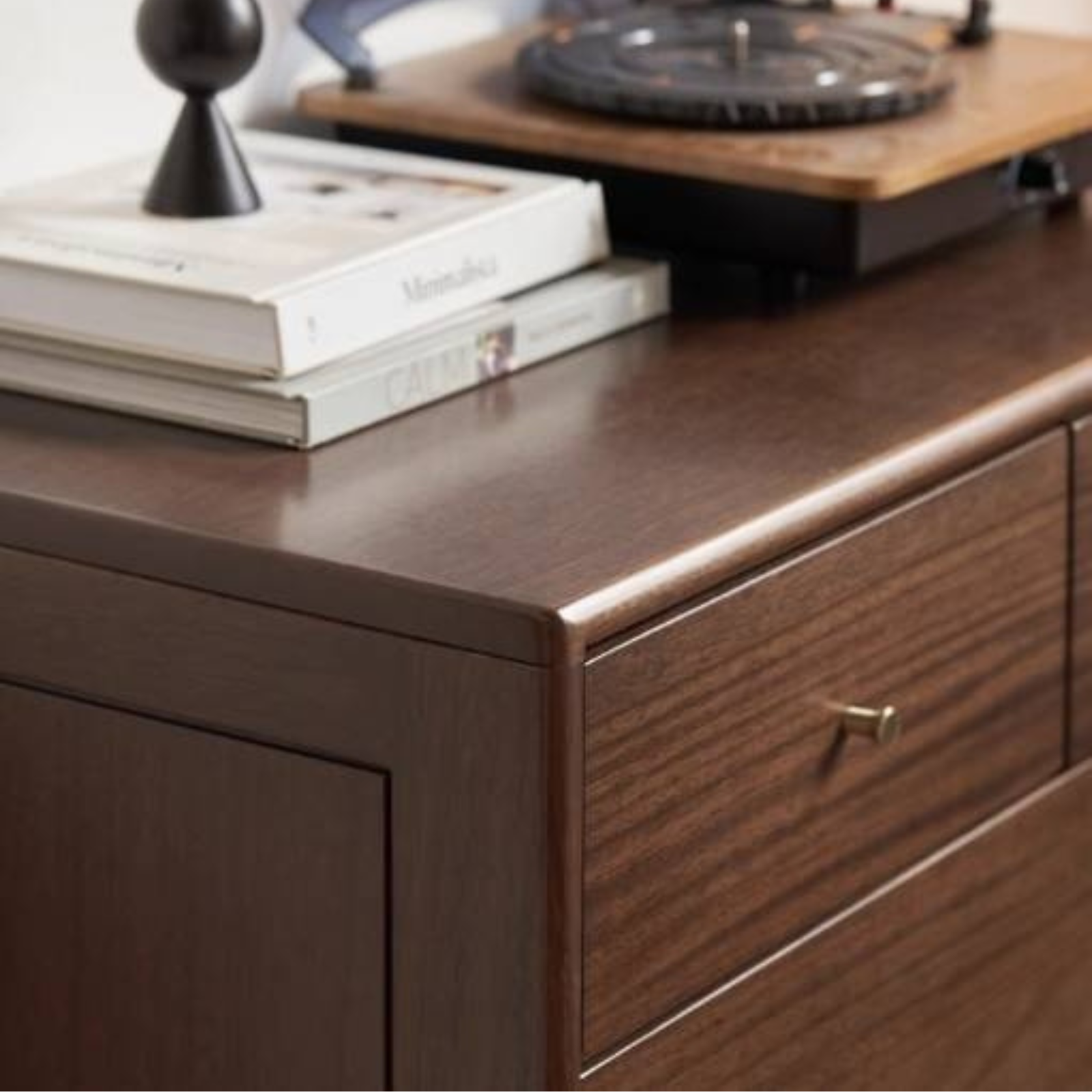Red Zebrawood Solid Wood Modern Minimalist Chest of Drawers