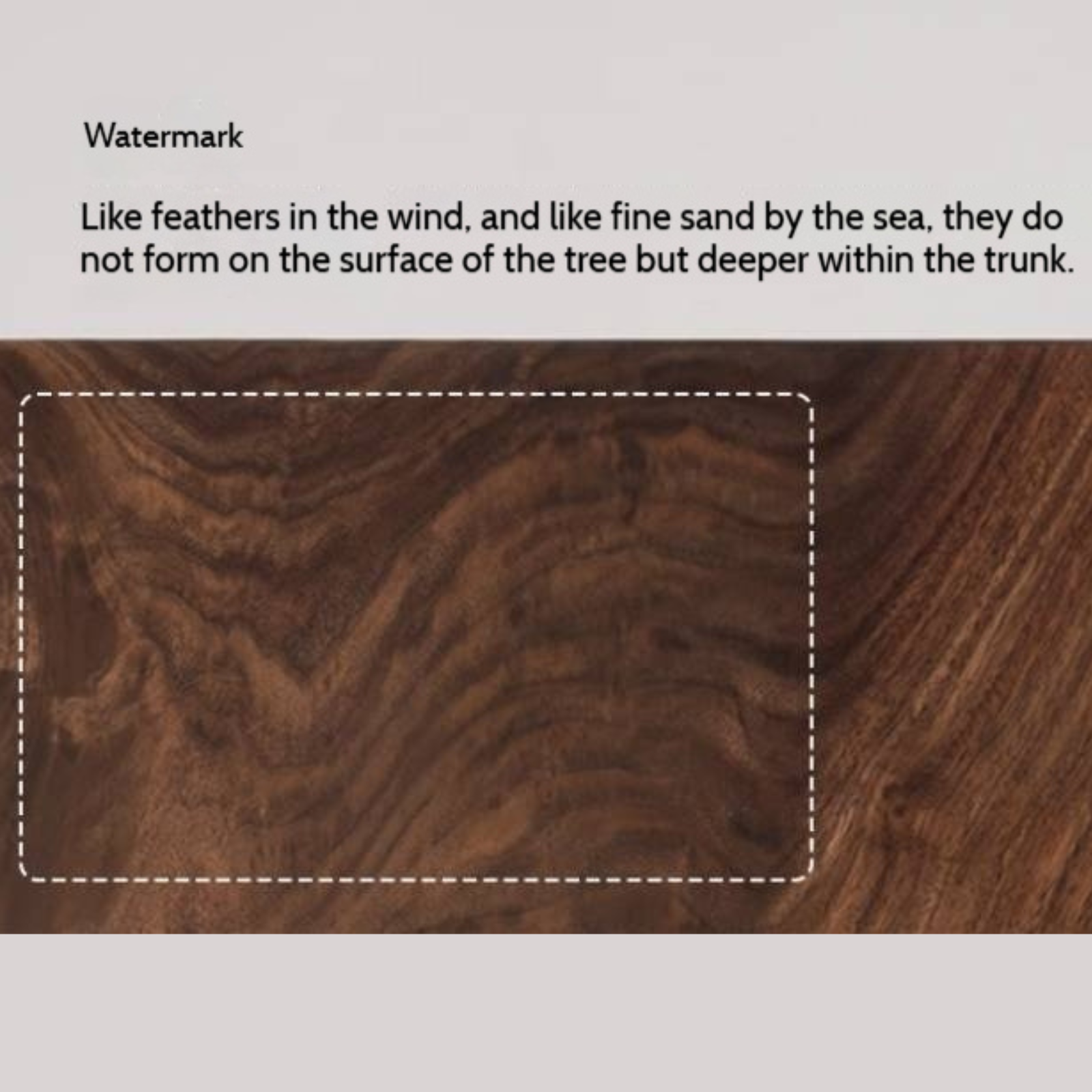 Black Walnut Solid Wood Natural Edge Tea Table