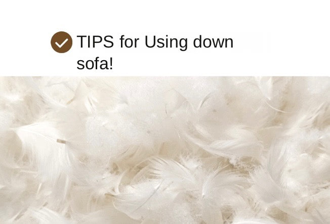 First Layer Cowhide Leather Goose Down Sofa.