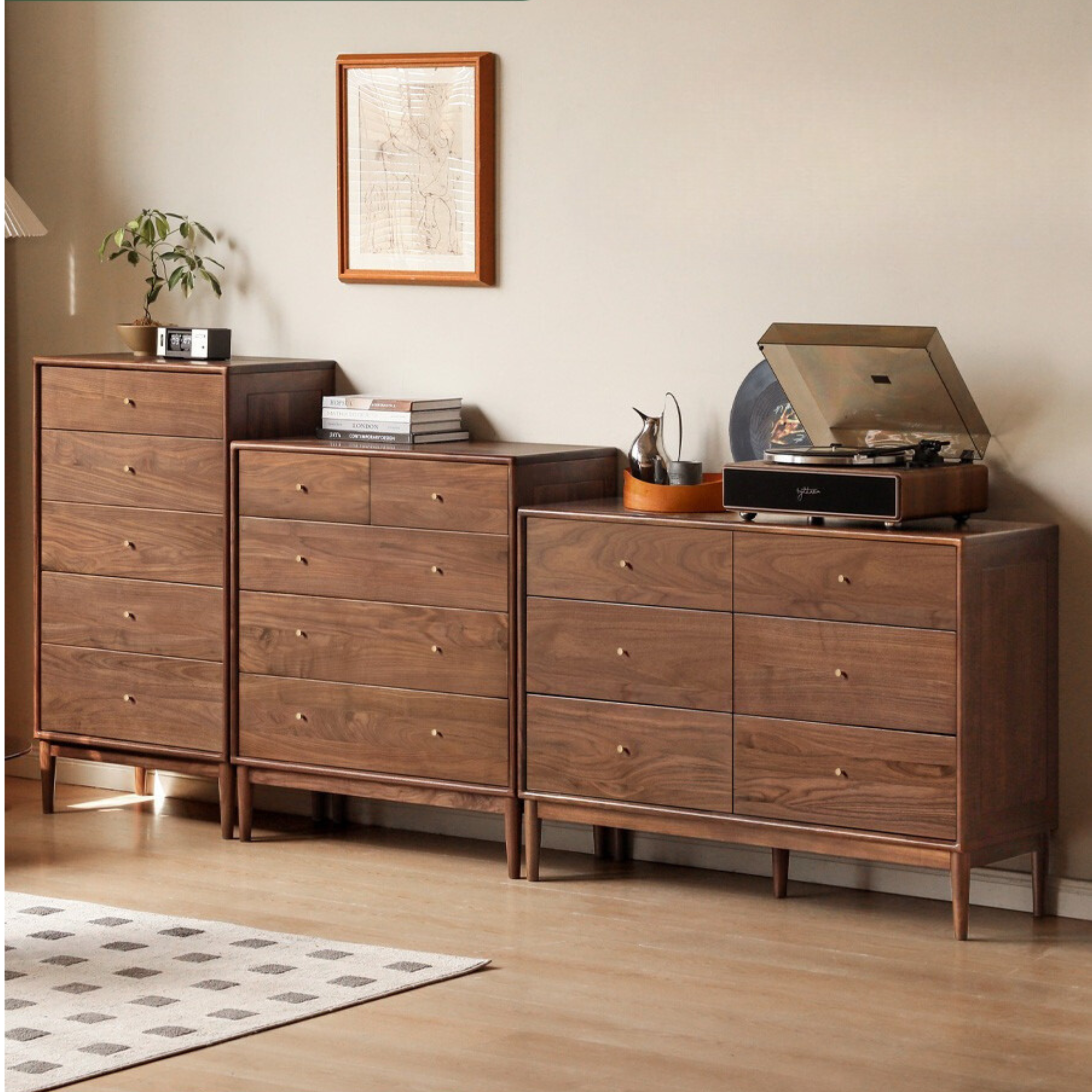 Black Walnut, Oak Solid Wood Drawer, Modern Porch Cabinet