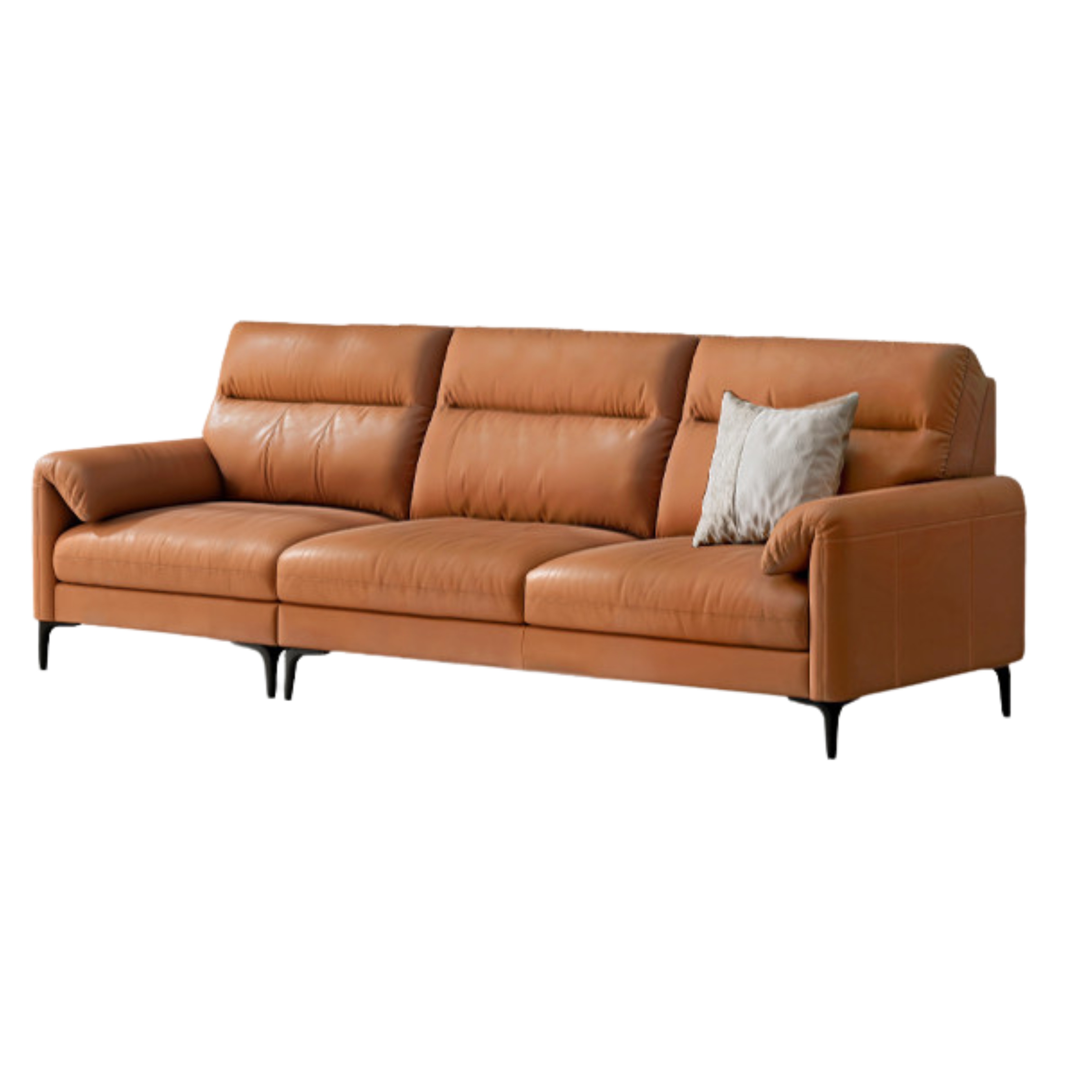 Genuine Leather Italian Normcore Modern Sofa