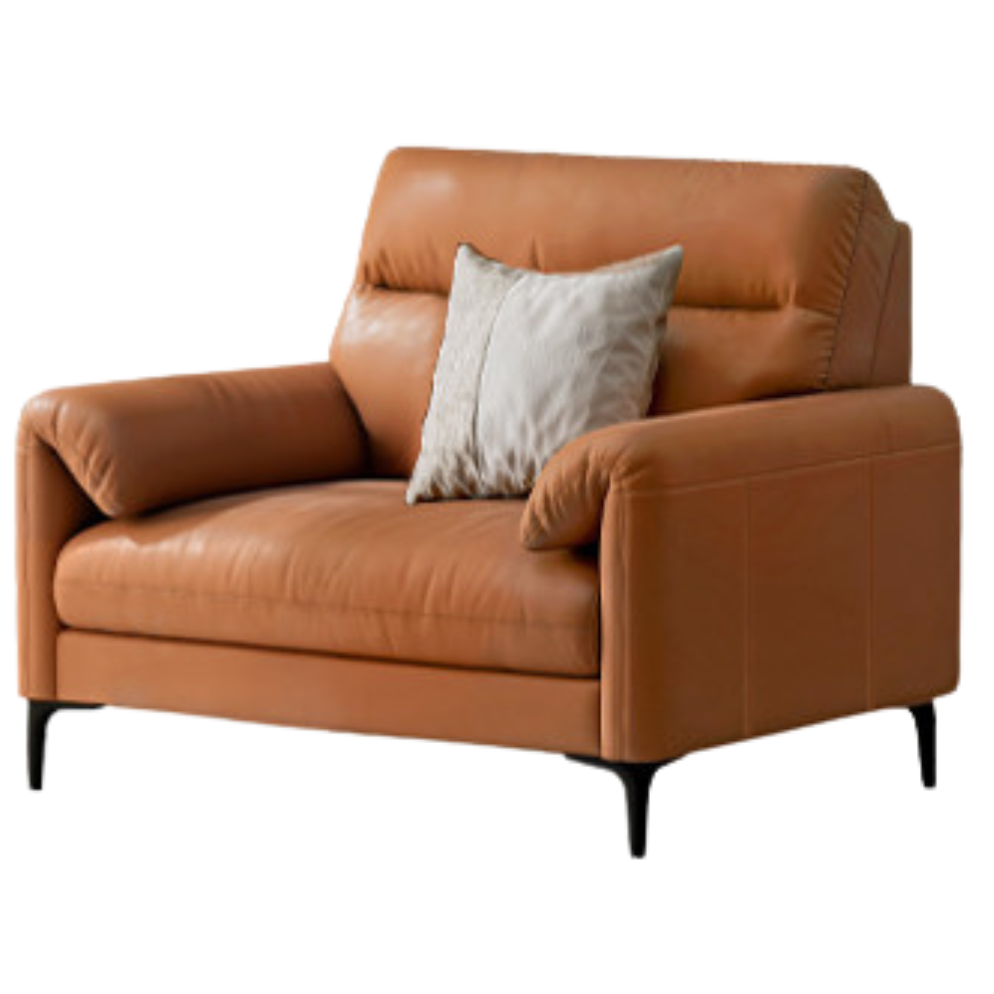 Genuine Leather Italian Normcore Modern Sofa