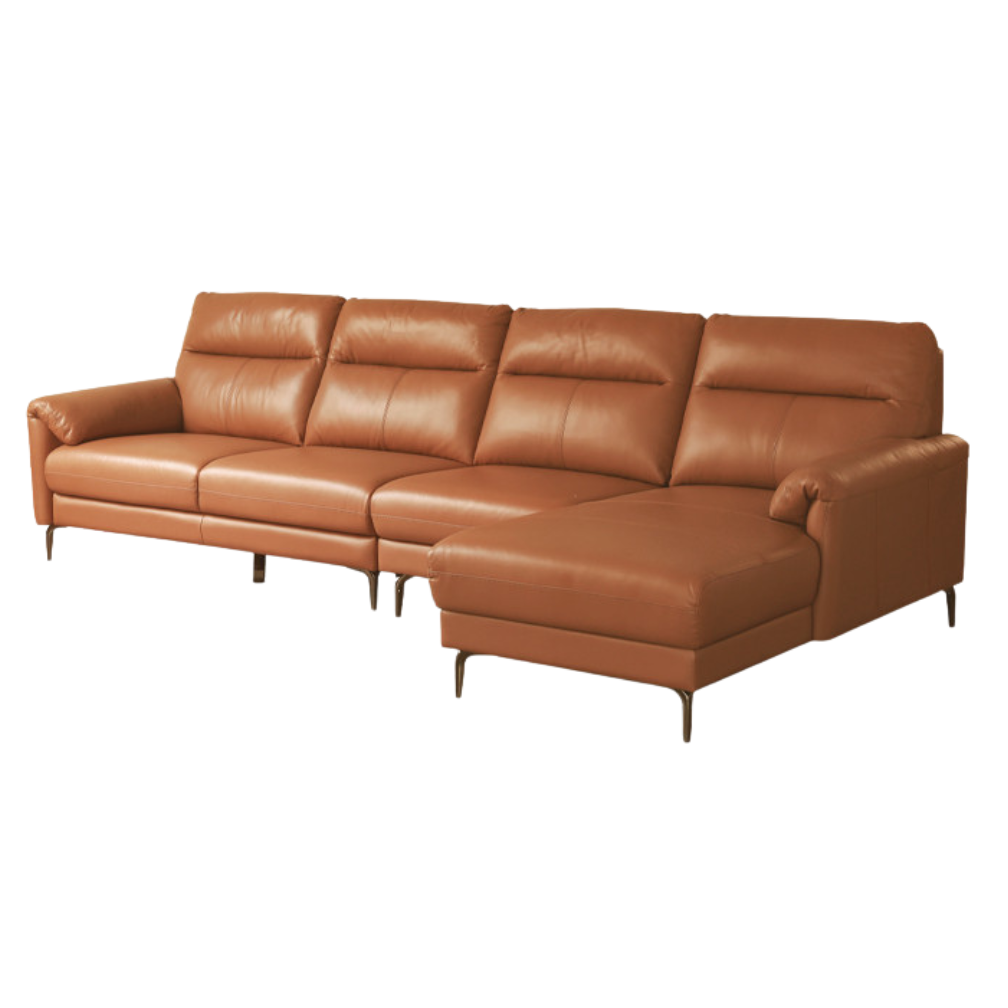 Genuine Leather Italian Normcore Modern Sofa