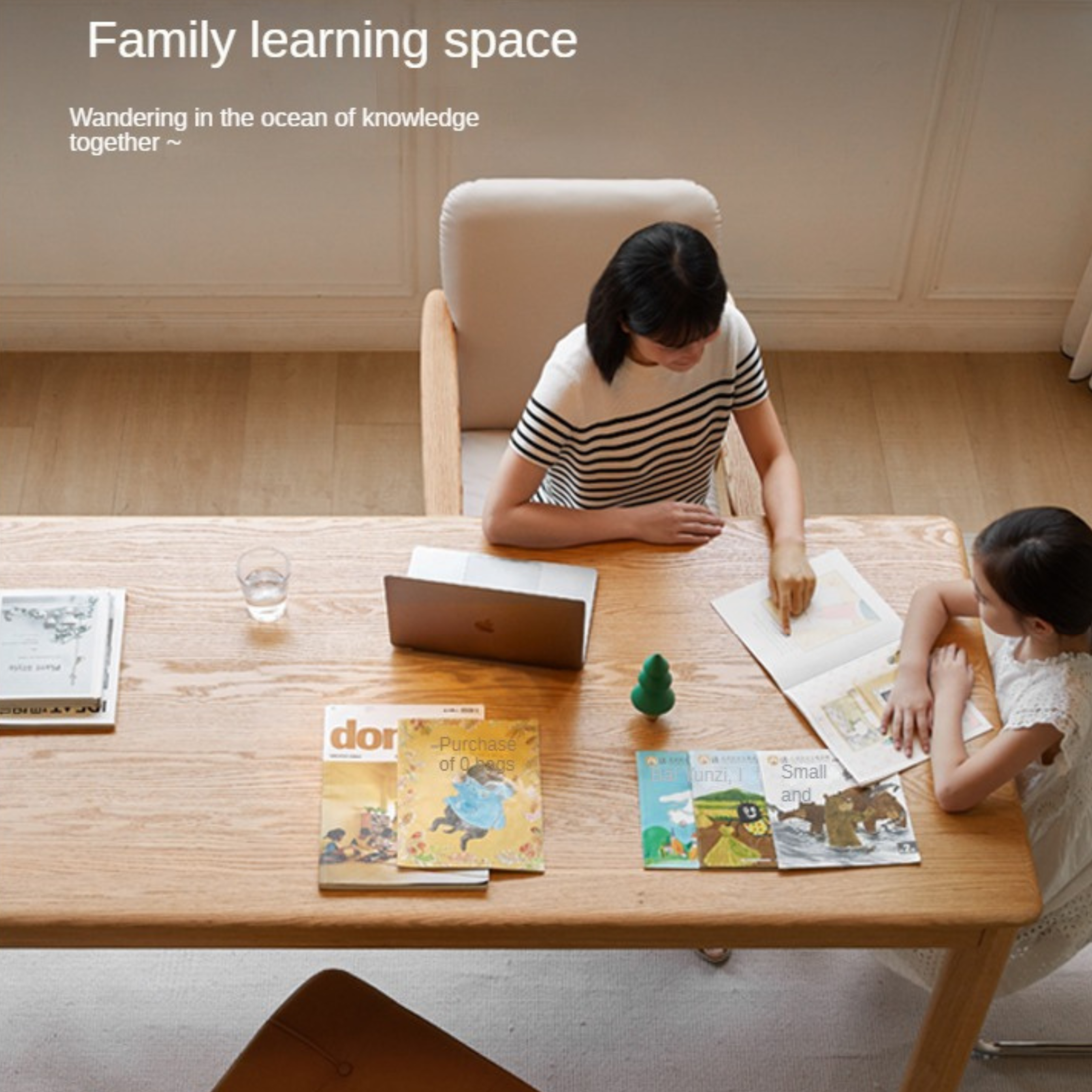 Oak, Ash Solid Wood Long Office Desk