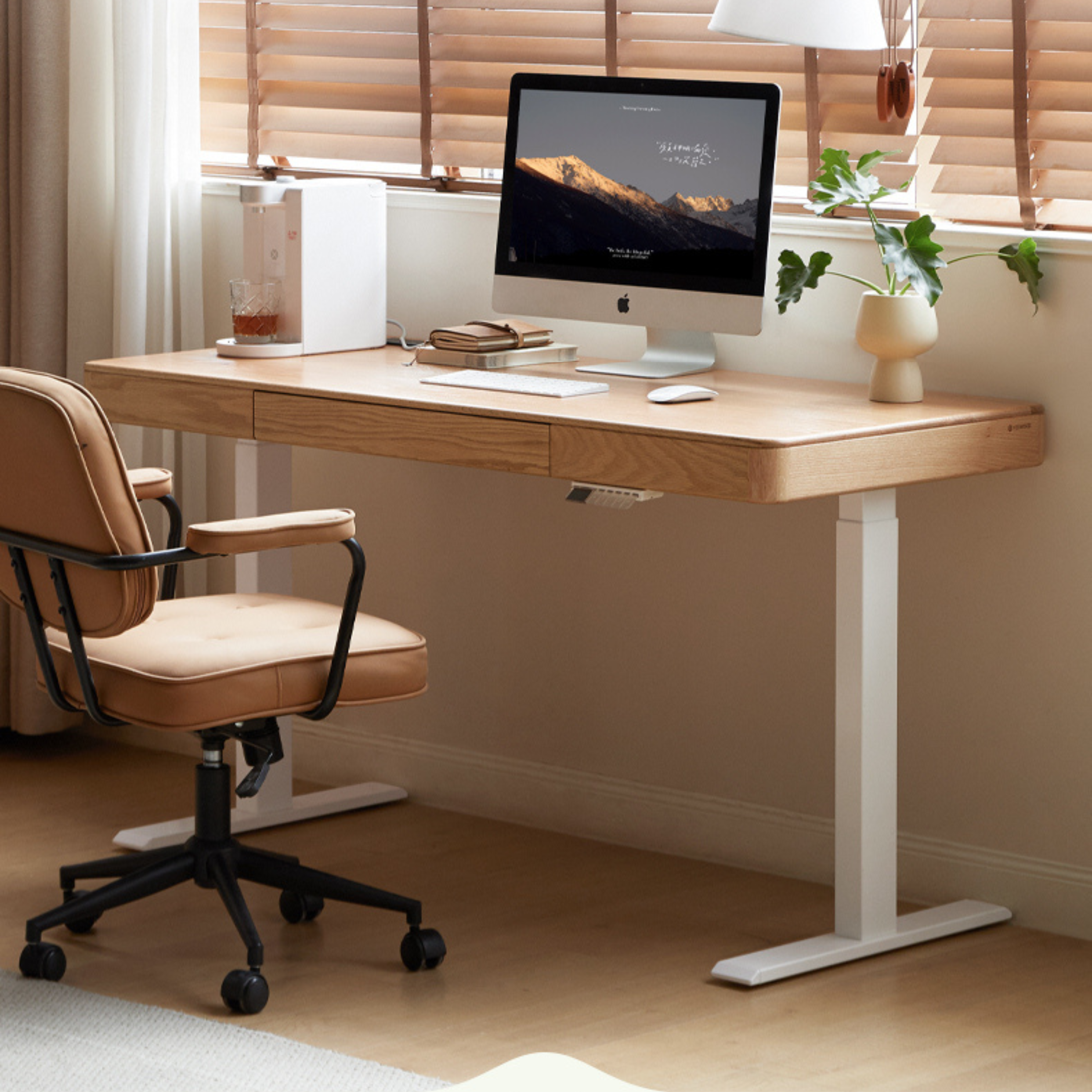 Oak Solid Wood Elevating Electric Multifunctional Standing Desk