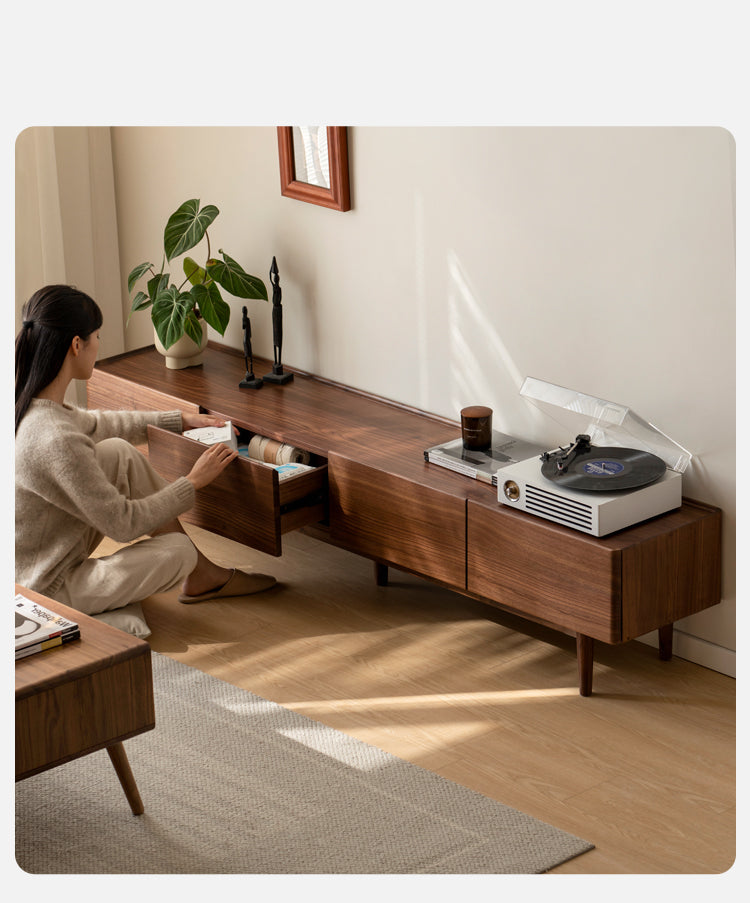 Black Walnut Solid Wood TV Cabinet, Modern and Minimalist-