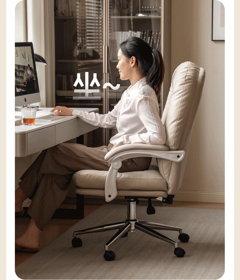 Study Liftable Office Soft Modern Chair.