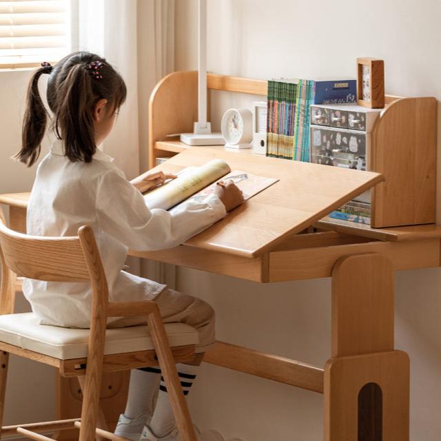 Beech, Oak, Poplar Solid Wood Nordic Study Bookshelf