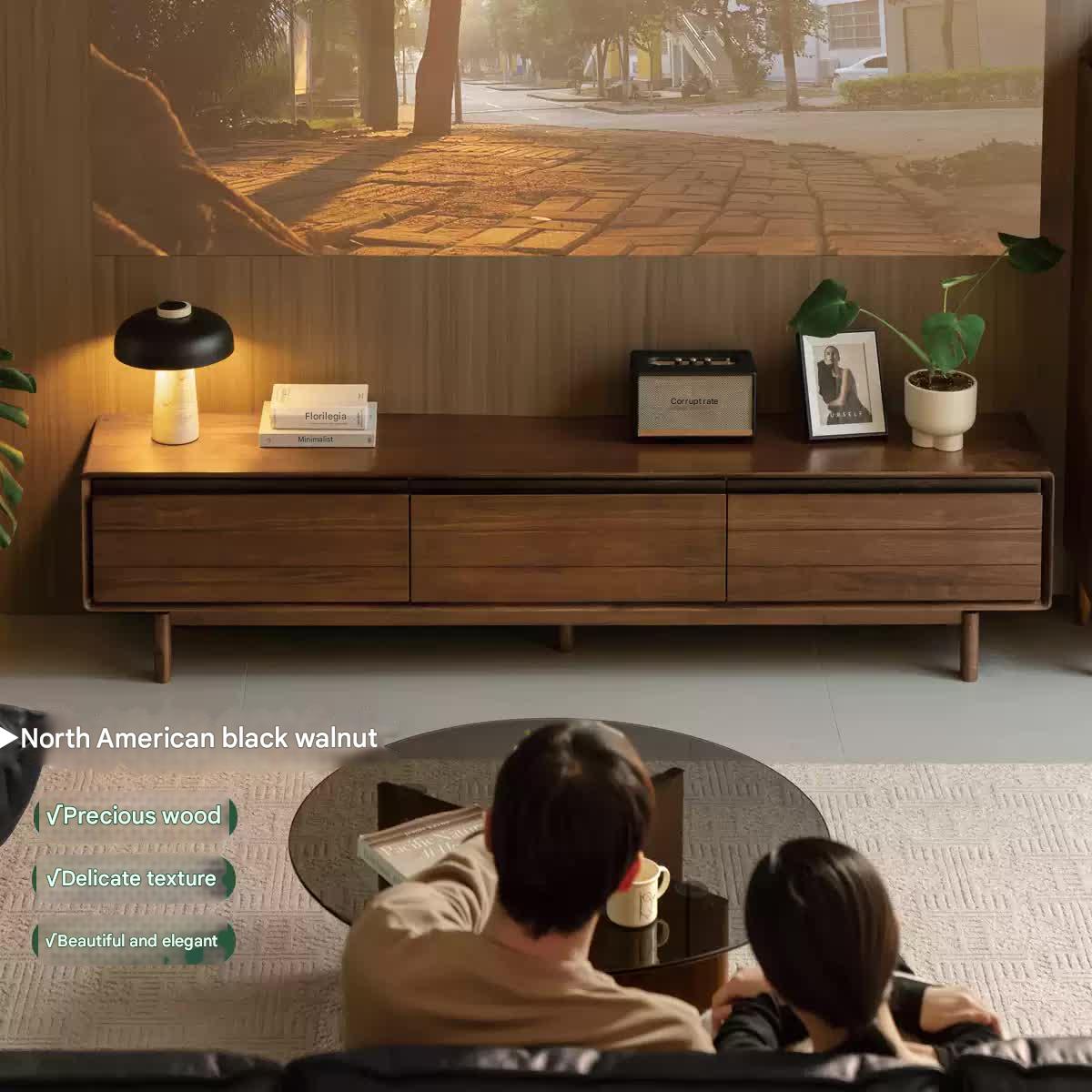 Black Walnut, Oak Solid Wood Floor Modern TV Cabinet.