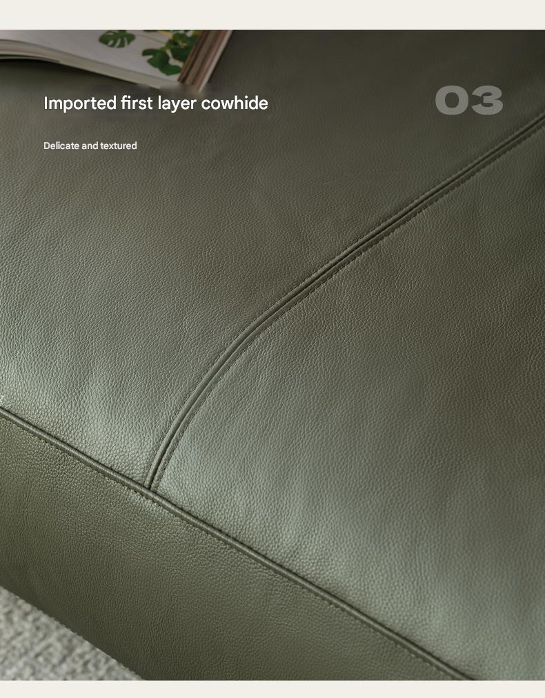 Cherry Wood Solid Wood Modern Leather Sofa