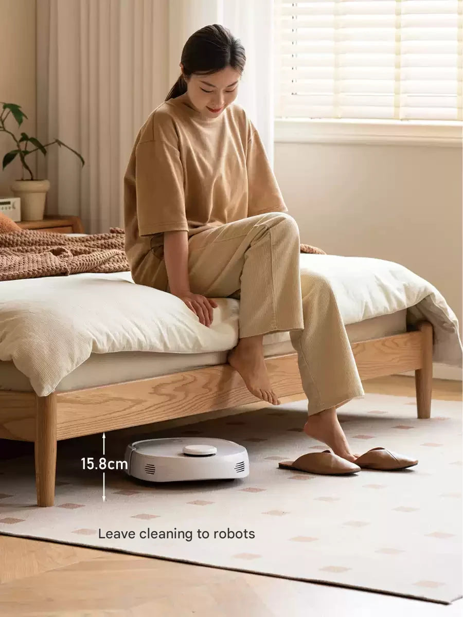 Beech, Oak Solid Wood Dream House Soft Bed