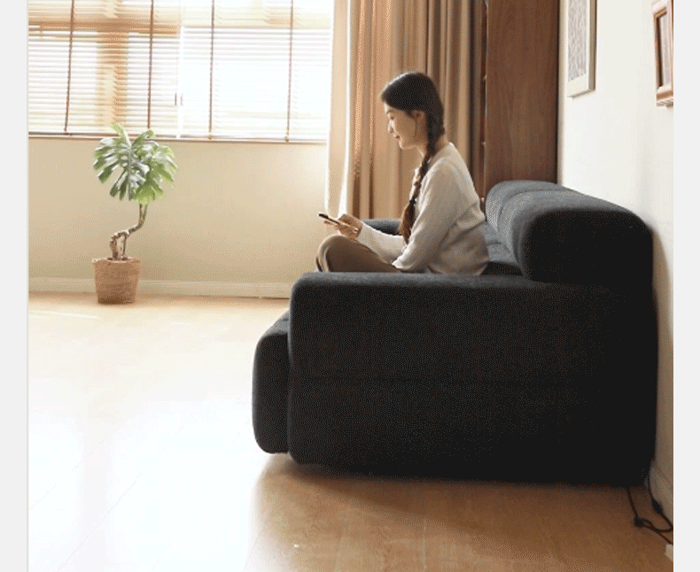 Electric Imitation Lamb Fleece Sofa Bed.