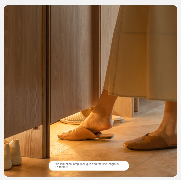 Ash, Oak Solid Wood Entrance Combination Storage Shoe Cabinet