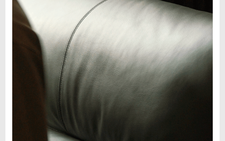 Black Walnut Solid Wood Italian Leather Sofa-