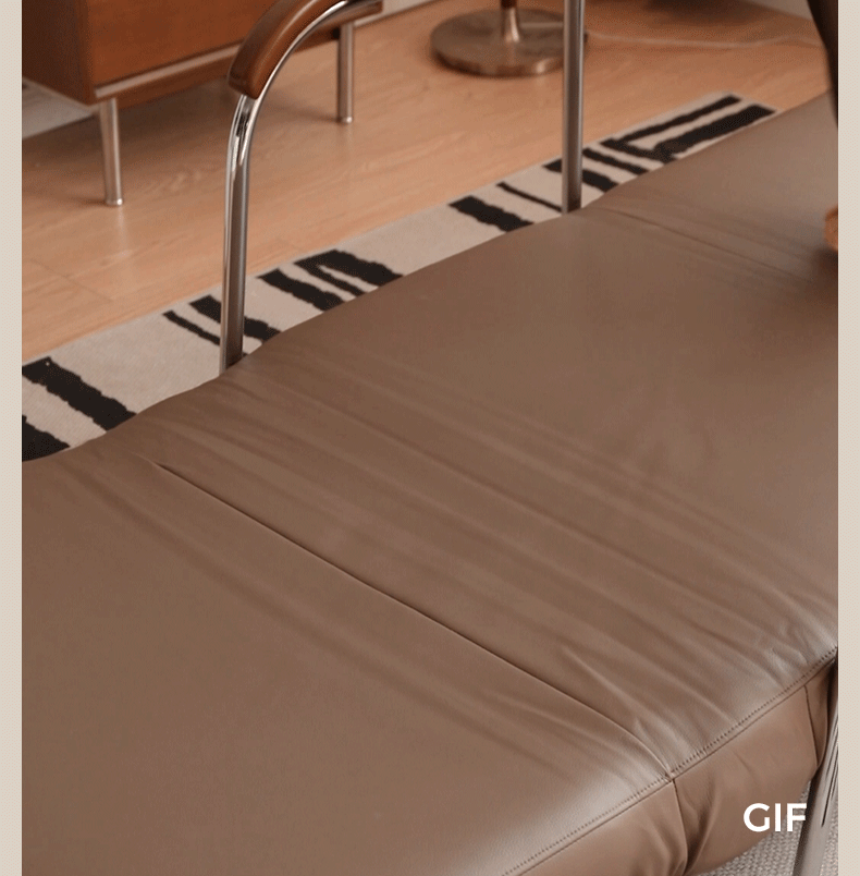 Fabric Modern Sofa Bed