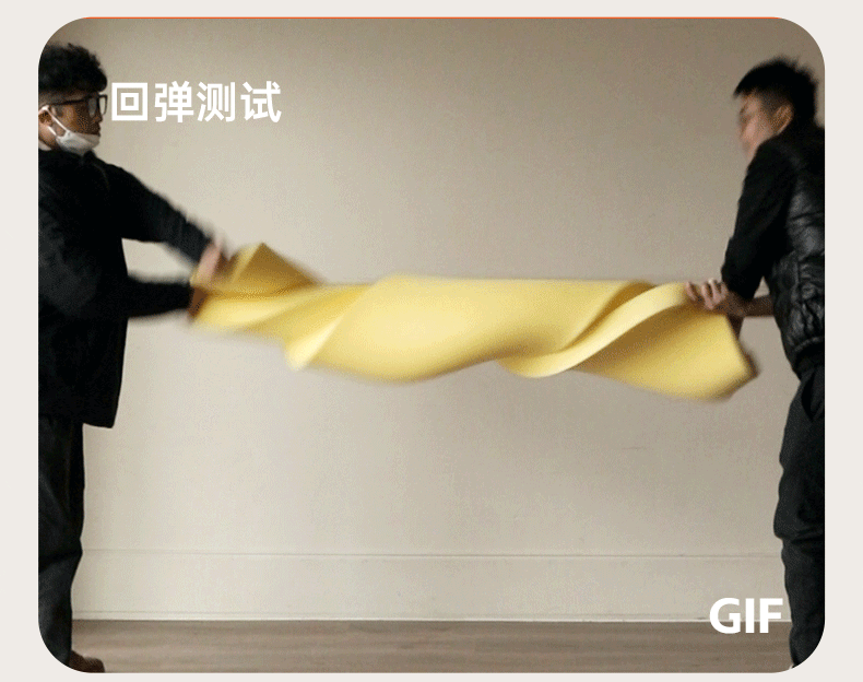 Beech Solid Wood Sofa Bed Modern.