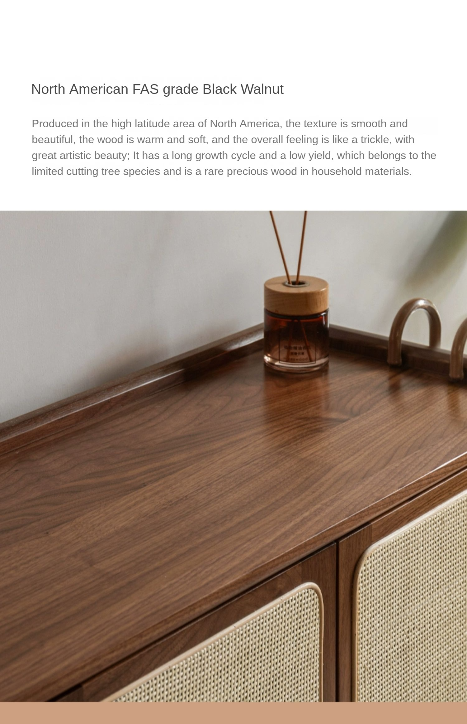 Black Walnut, Oak, South American Walnut Solid Wood Rattan Shoe Cabinet