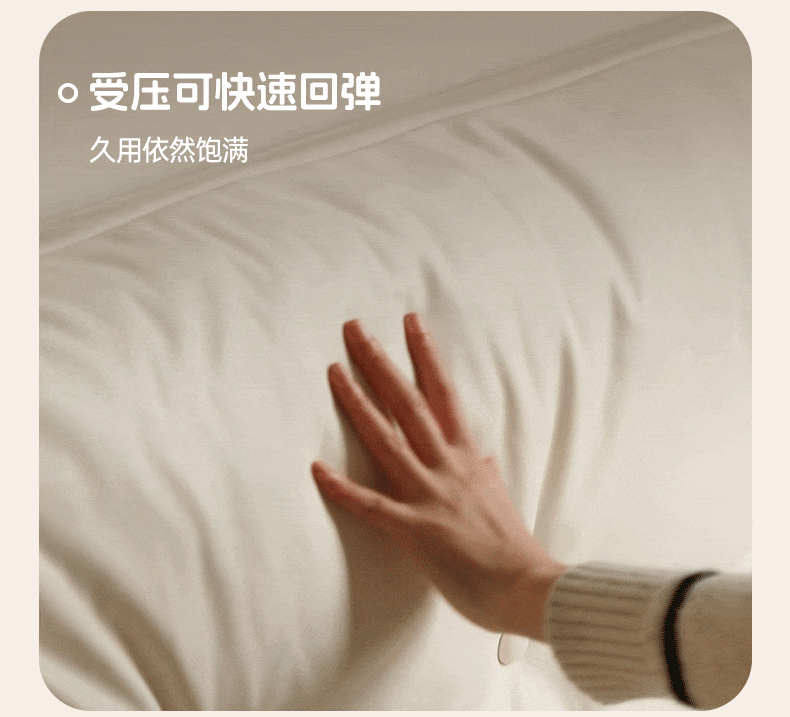 Rubber Solid Wood Fabric Leather Soft Bed